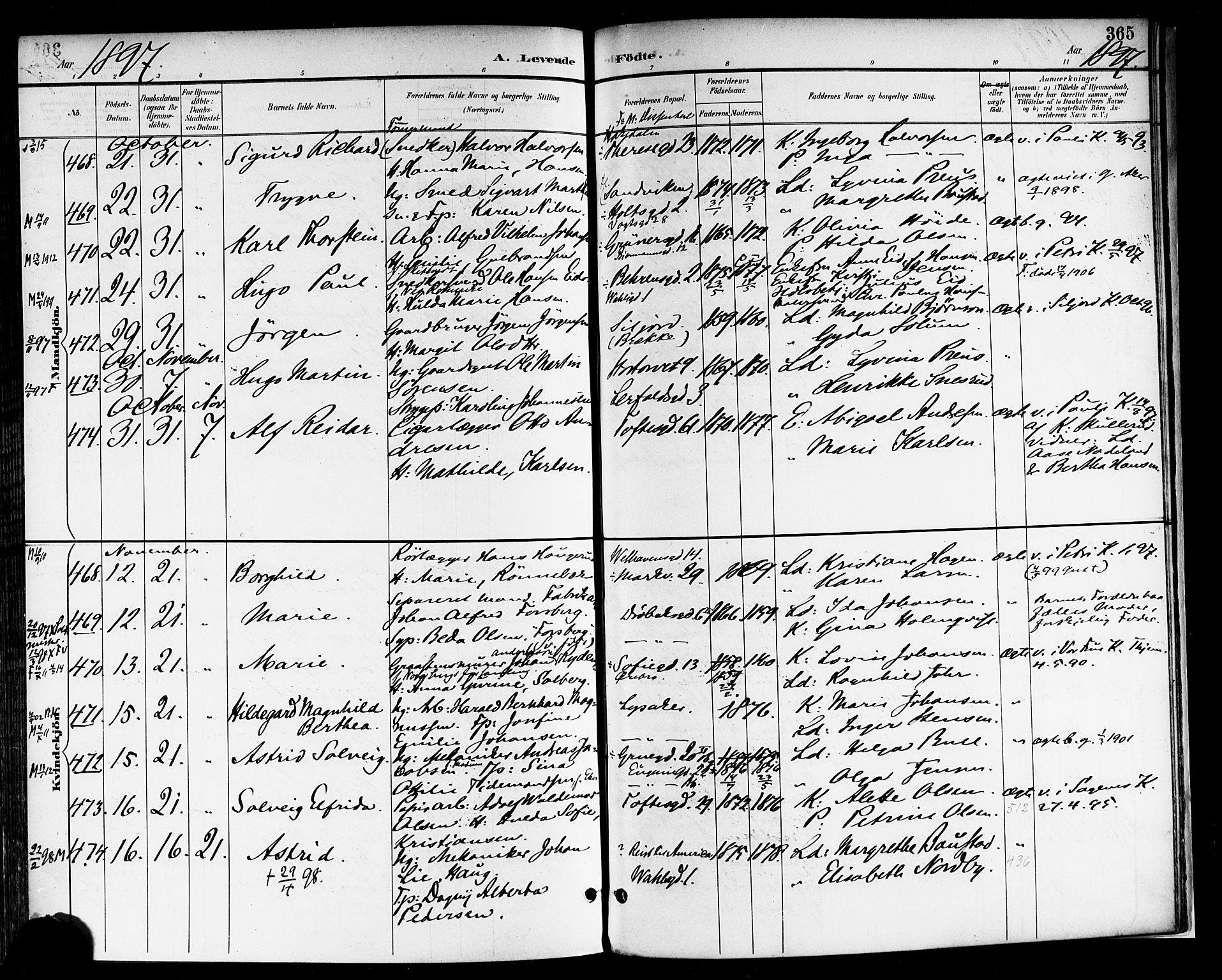 Rikshospitalet prestekontor Kirkebøker, SAO/A-10309b/F/L0009: Parish register (official) no. 9, 1894-1897, p. 365