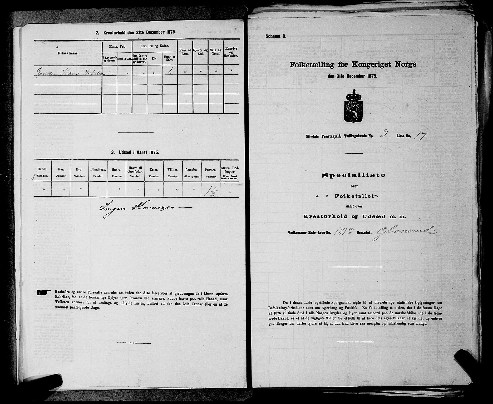 RA, 1875 census for 0233P Nittedal, 1875, p. 196