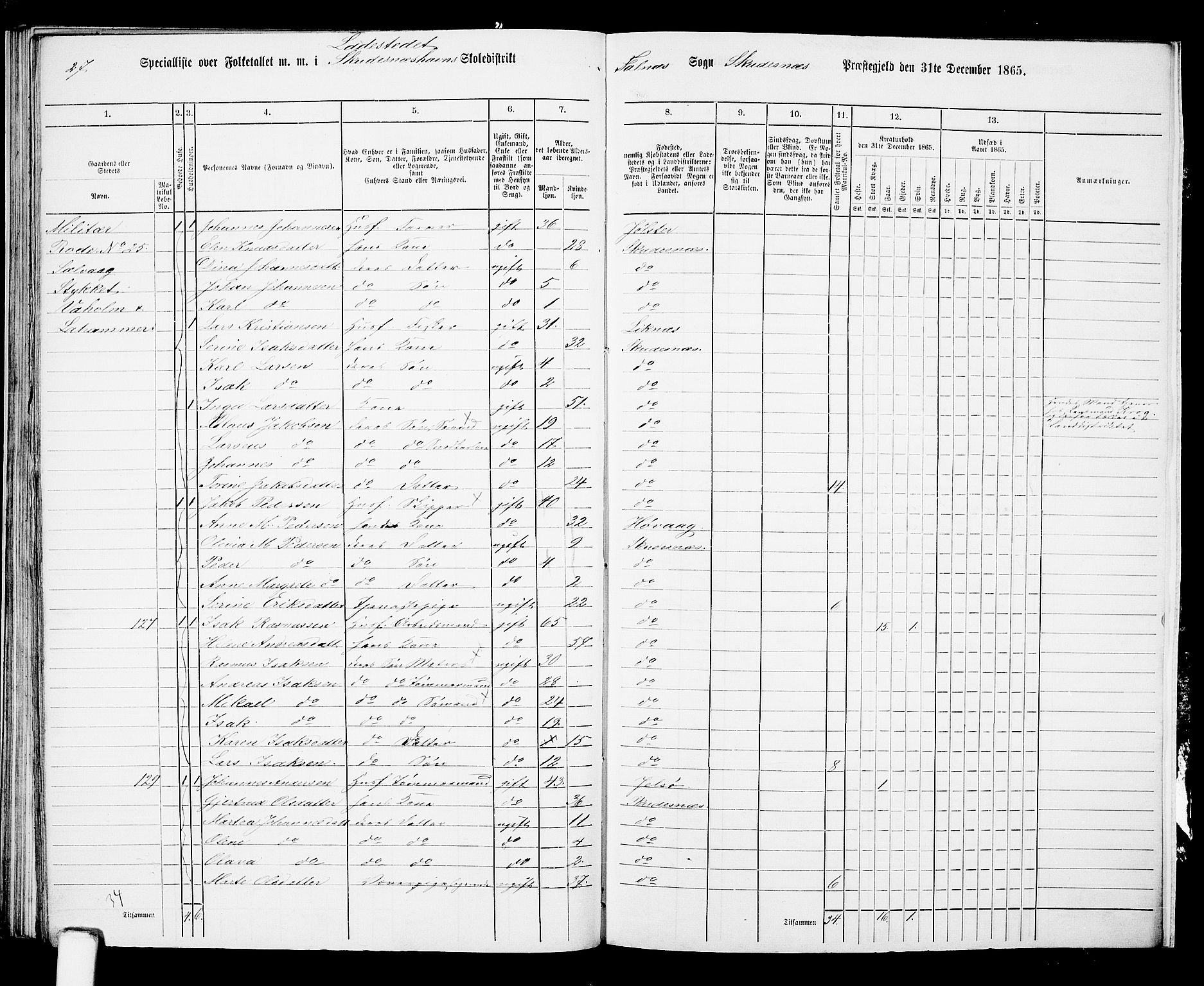 RA, 1865 census for Skudenes, 1865, p. 244