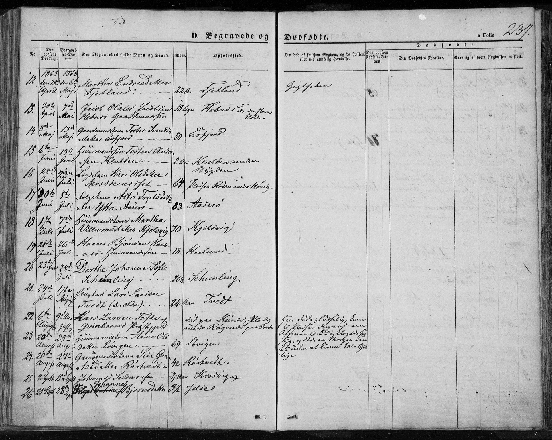 Jelsa sokneprestkontor, AV/SAST-A-101842/01/IV: Parish register (official) no. A 7, 1854-1866, p. 237