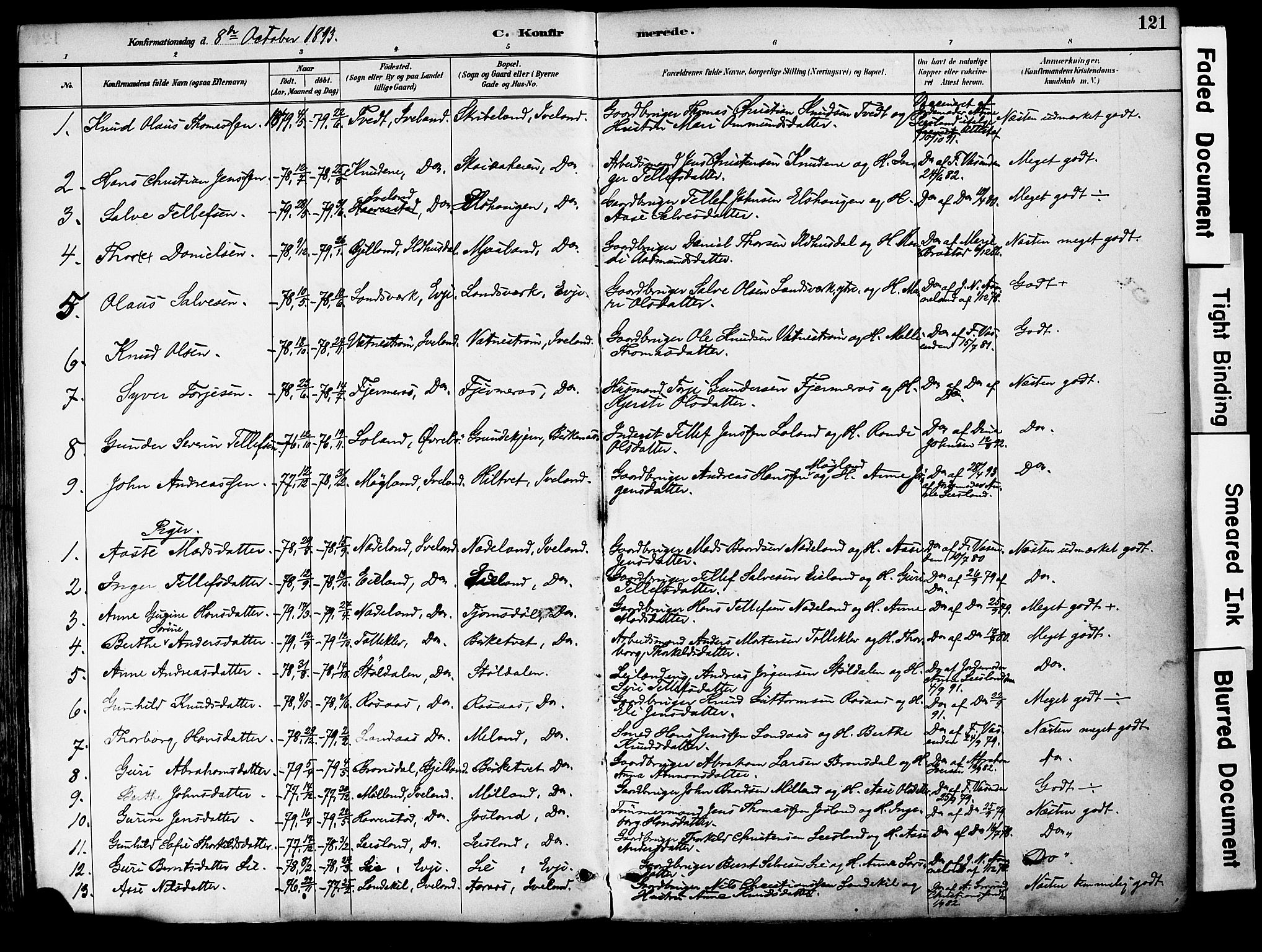 Evje sokneprestkontor, AV/SAK-1111-0008/F/Fa/Fac/L0003: Parish register (official) no. A 3, 1884-1909, p. 121