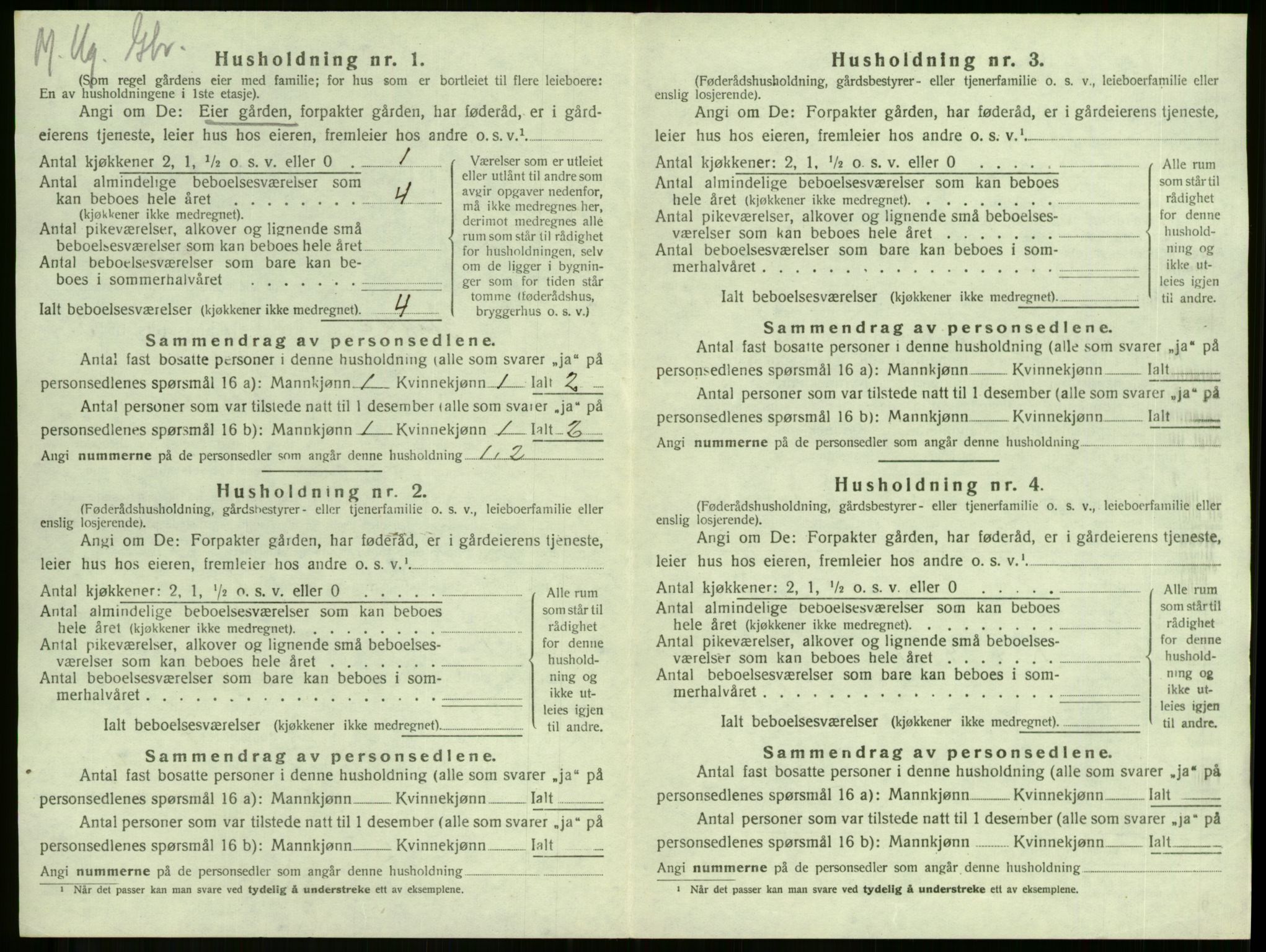 SAKO, 1920 census for Stokke, 1920, p. 480