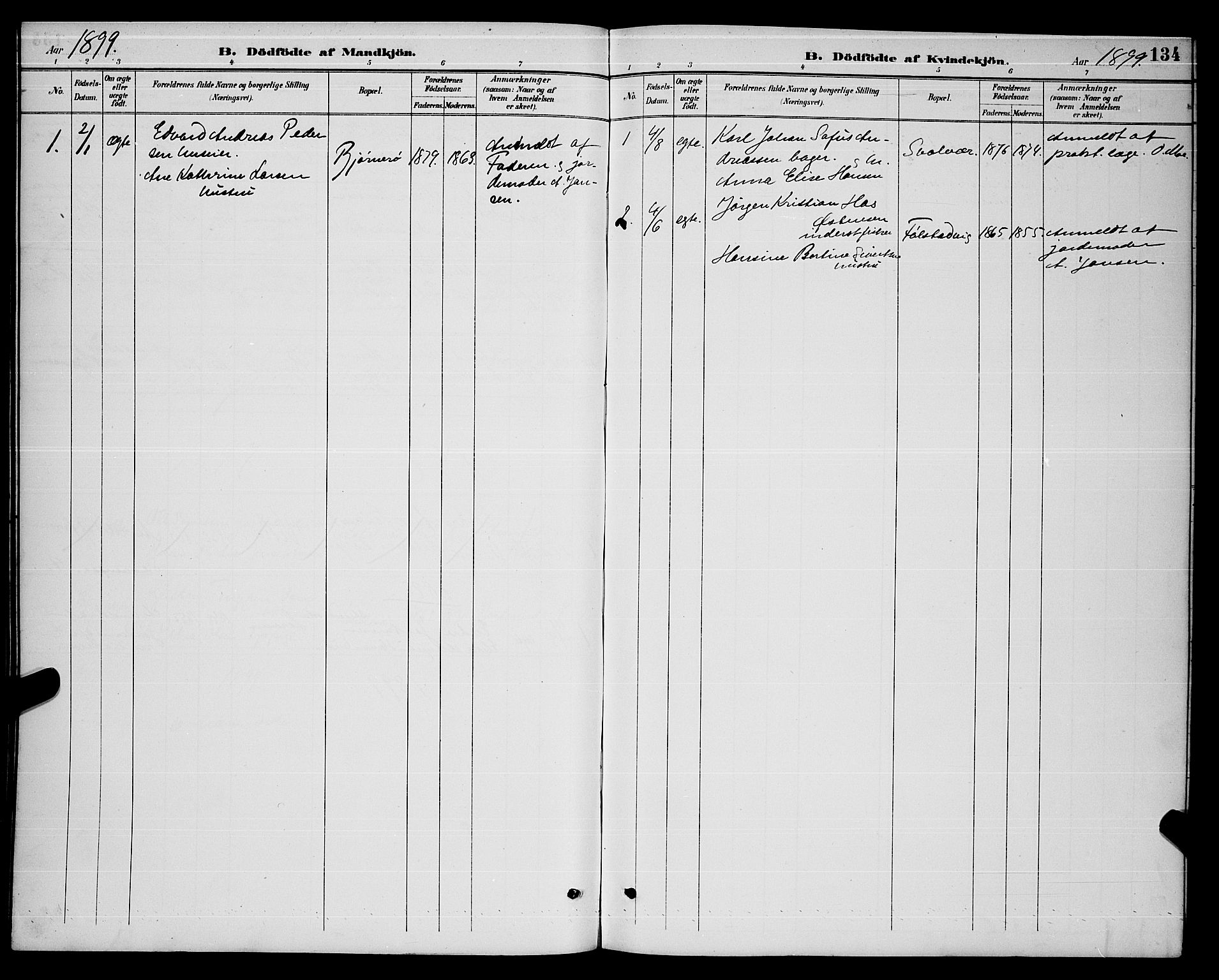 Ministerialprotokoller, klokkerbøker og fødselsregistre - Nordland, AV/SAT-A-1459/874/L1077: Parish register (copy) no. 874C06, 1891-1900, p. 134