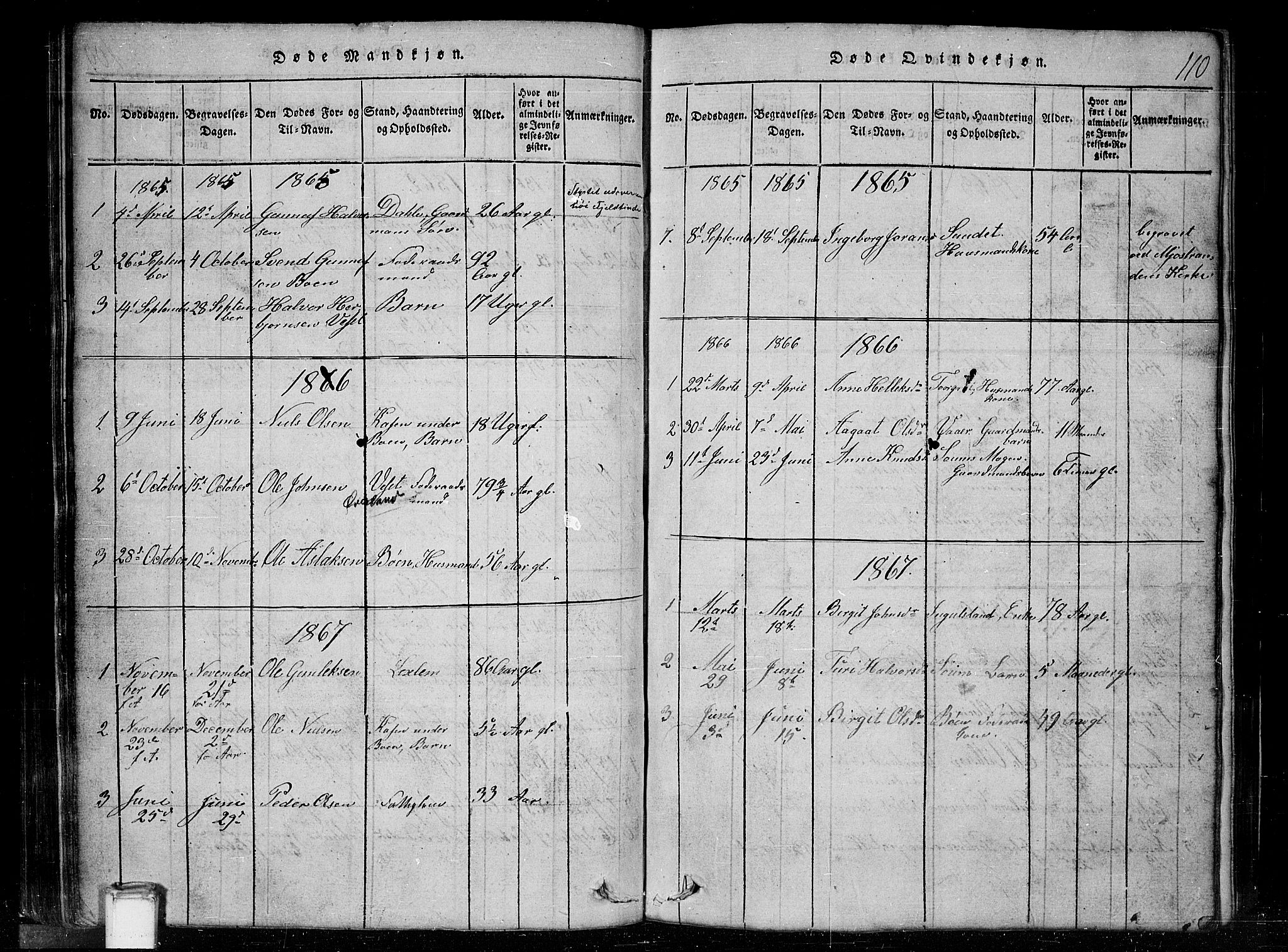 Tinn kirkebøker, SAKO/A-308/G/Gc/L0001: Parish register (copy) no. III 1, 1815-1879, p. 110