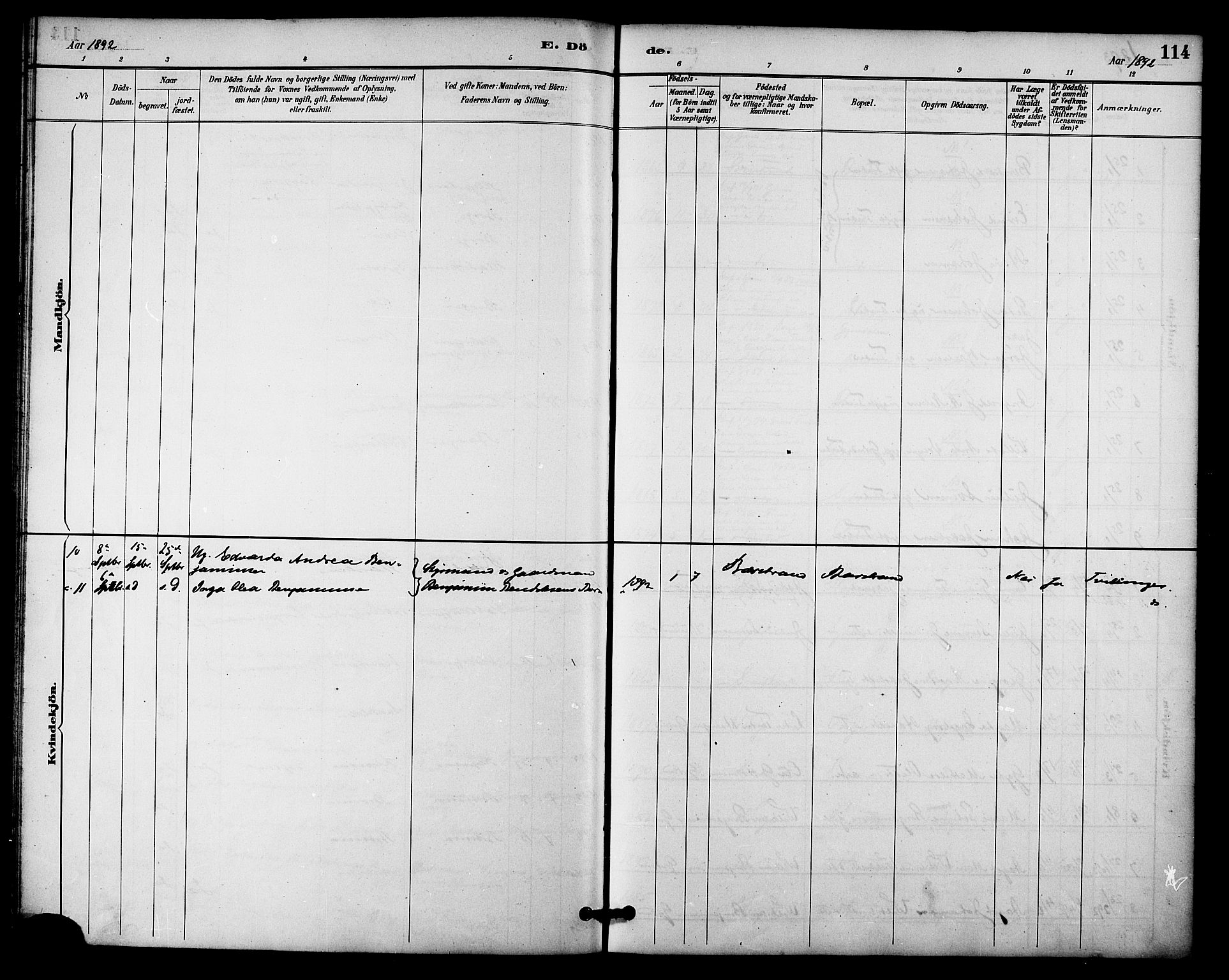 Ministerialprotokoller, klokkerbøker og fødselsregistre - Nordland, AV/SAT-A-1459/876/L1097: Parish register (official) no. 876A03, 1886-1896, p. 114