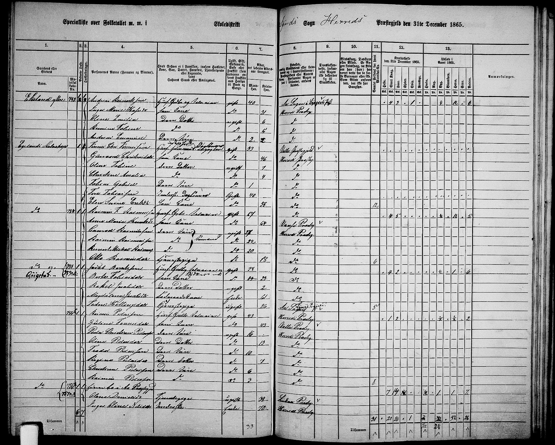 RA, 1865 census for Herad, 1865, p. 60