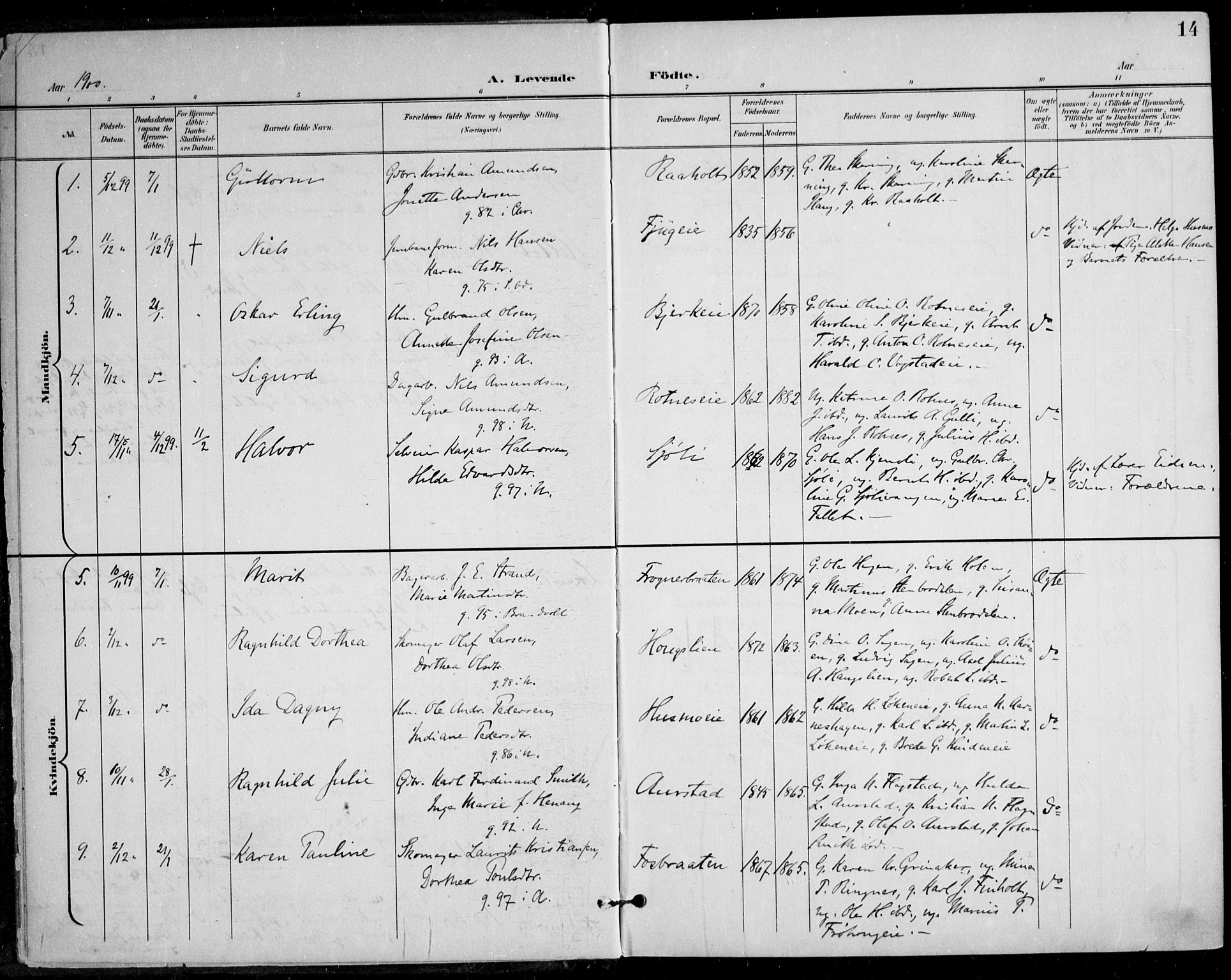 Nes prestekontor Kirkebøker, AV/SAO-A-10410/F/Fa/L0011: Parish register (official) no. I 11, 1899-1918, p. 14