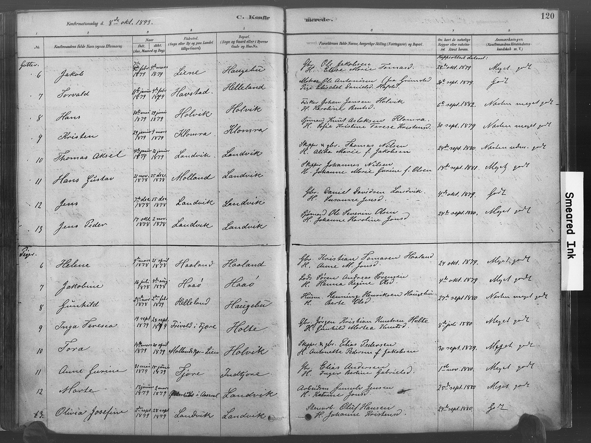 Hommedal sokneprestkontor, SAK/1111-0023/F/Fa/Fab/L0006: Parish register (official) no. A 6, 1878-1897, p. 120