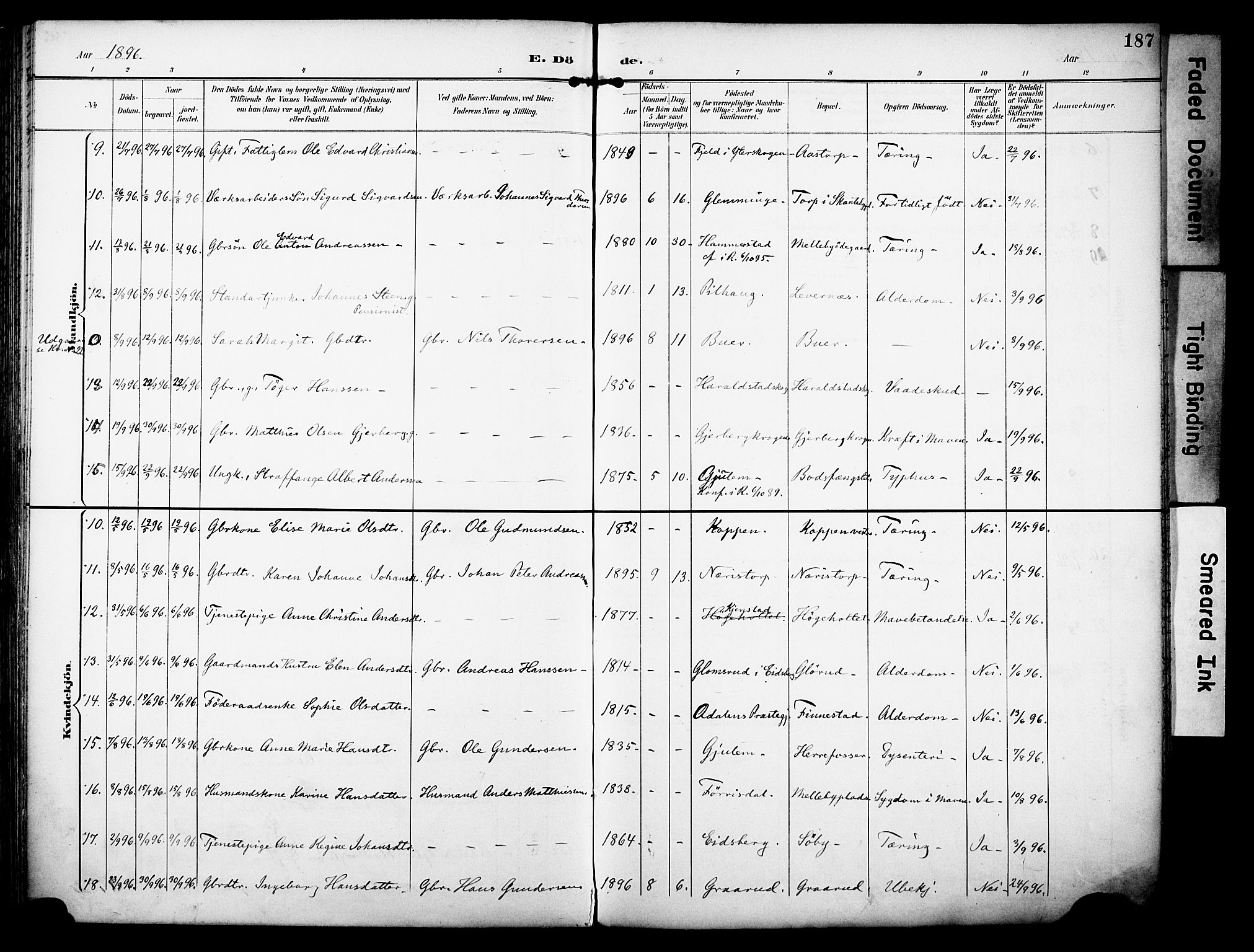 Rakkestad prestekontor Kirkebøker, AV/SAO-A-2008/F/Fa/L0013: Parish register (official) no. I 13, 1894-1908, p. 187