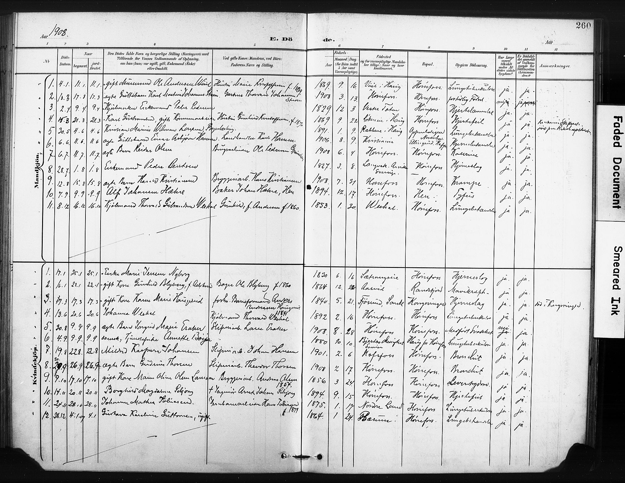 Hønefoss kirkebøker, AV/SAKO-A-609/F/Fa/L0003: Parish register (official) no. 3, 1900-1913, p. 260