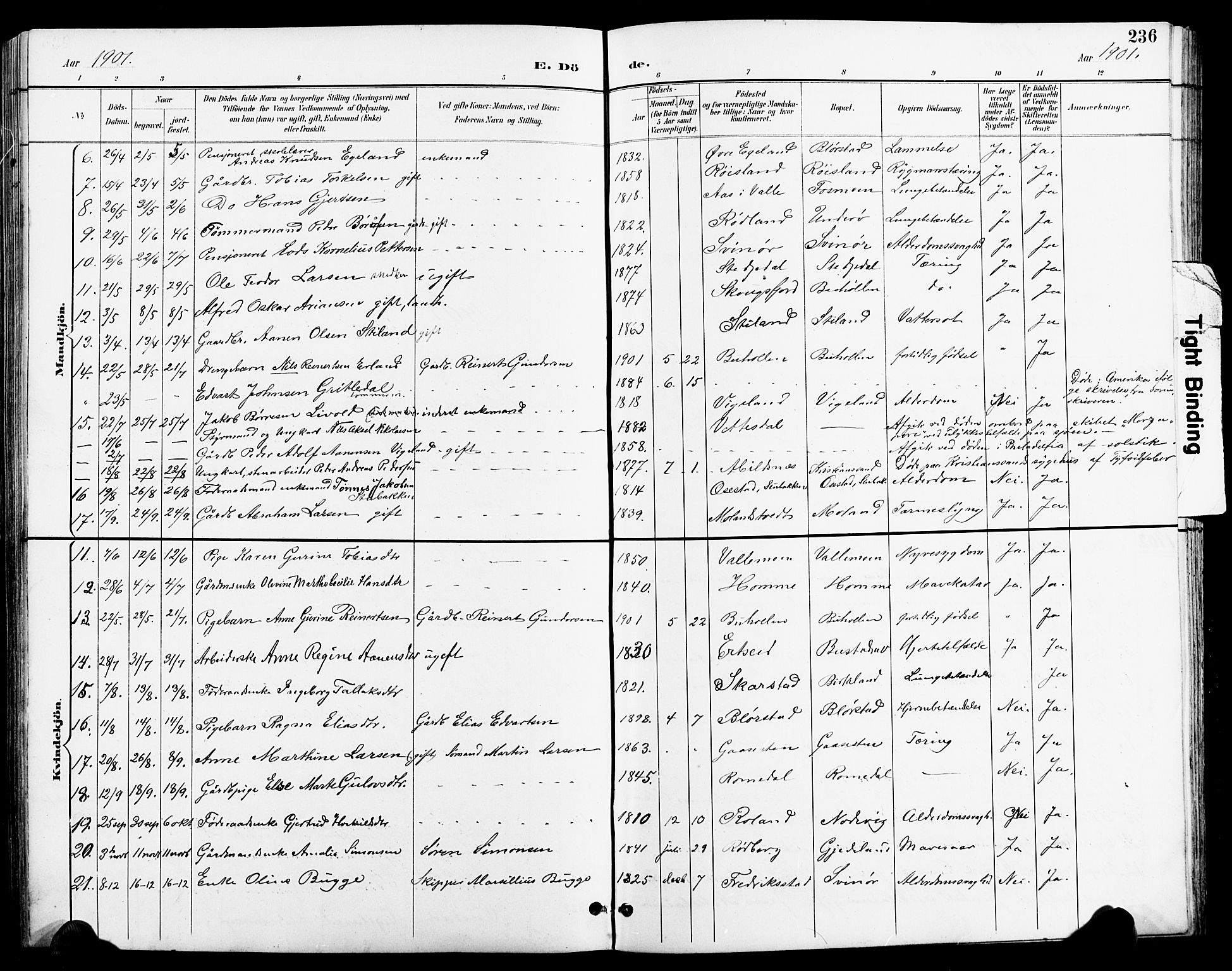 Sør-Audnedal sokneprestkontor, SAK/1111-0039/F/Fb/Fbb/L0006: Parish register (copy) no. B 6, 1893-1915, p. 236