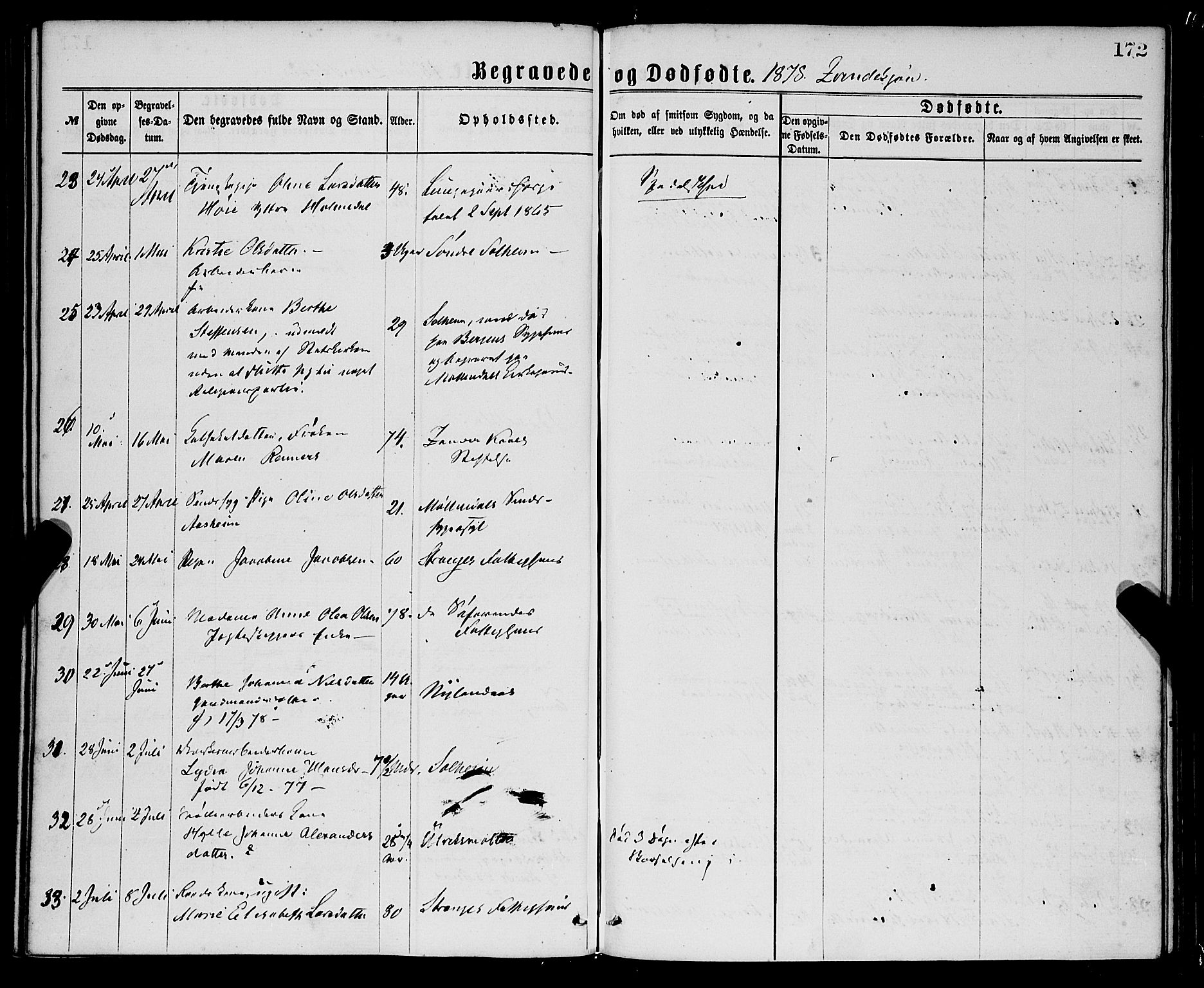 St. Jørgens hospital og Årstad sokneprestembete, AV/SAB-A-99934: Parish register (official) no. A 11, 1864-1886, p. 172