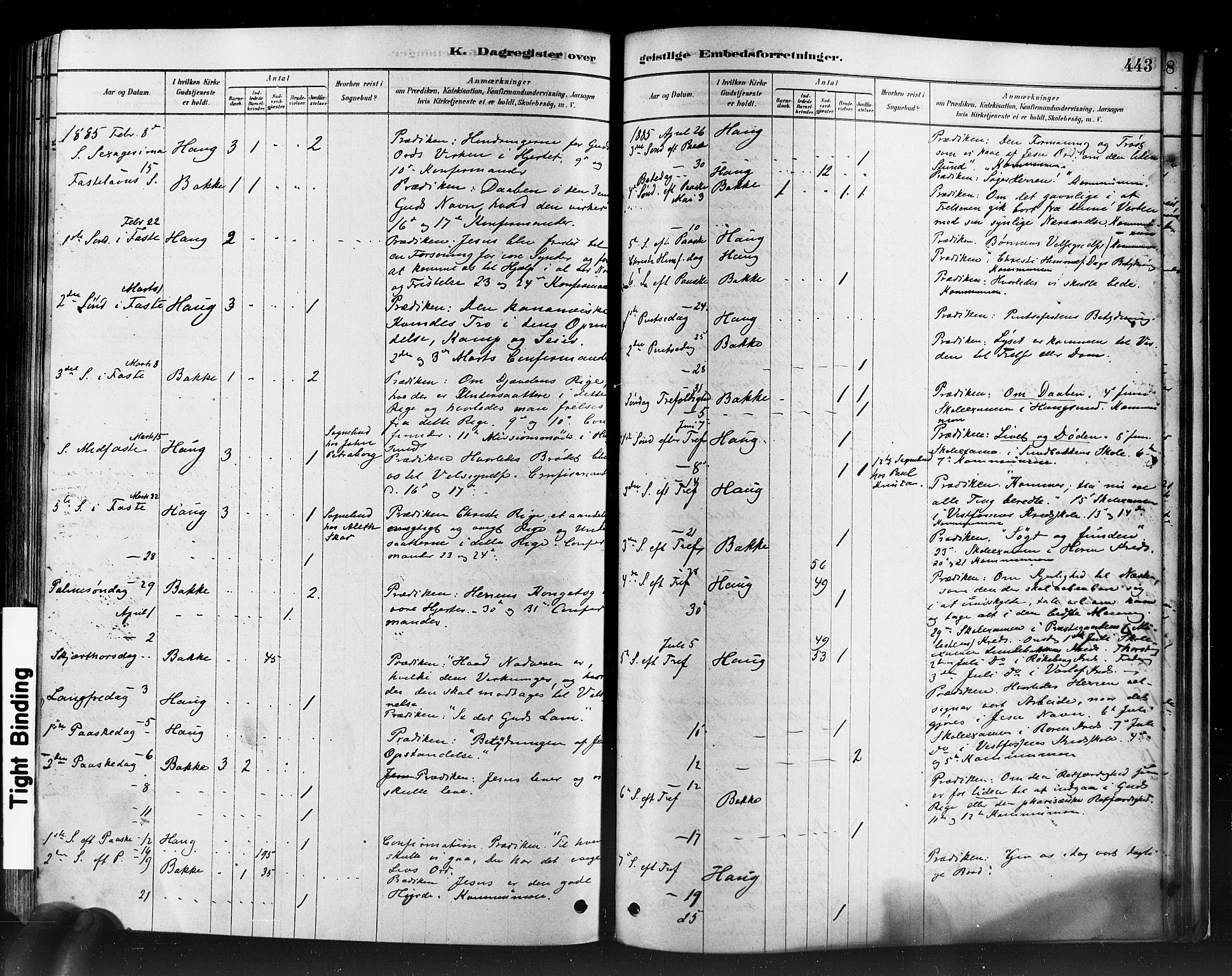 Eiker kirkebøker, SAKO/A-4/F/Fb/L0001: Parish register (official) no. II 1, 1878-1888, p. 443