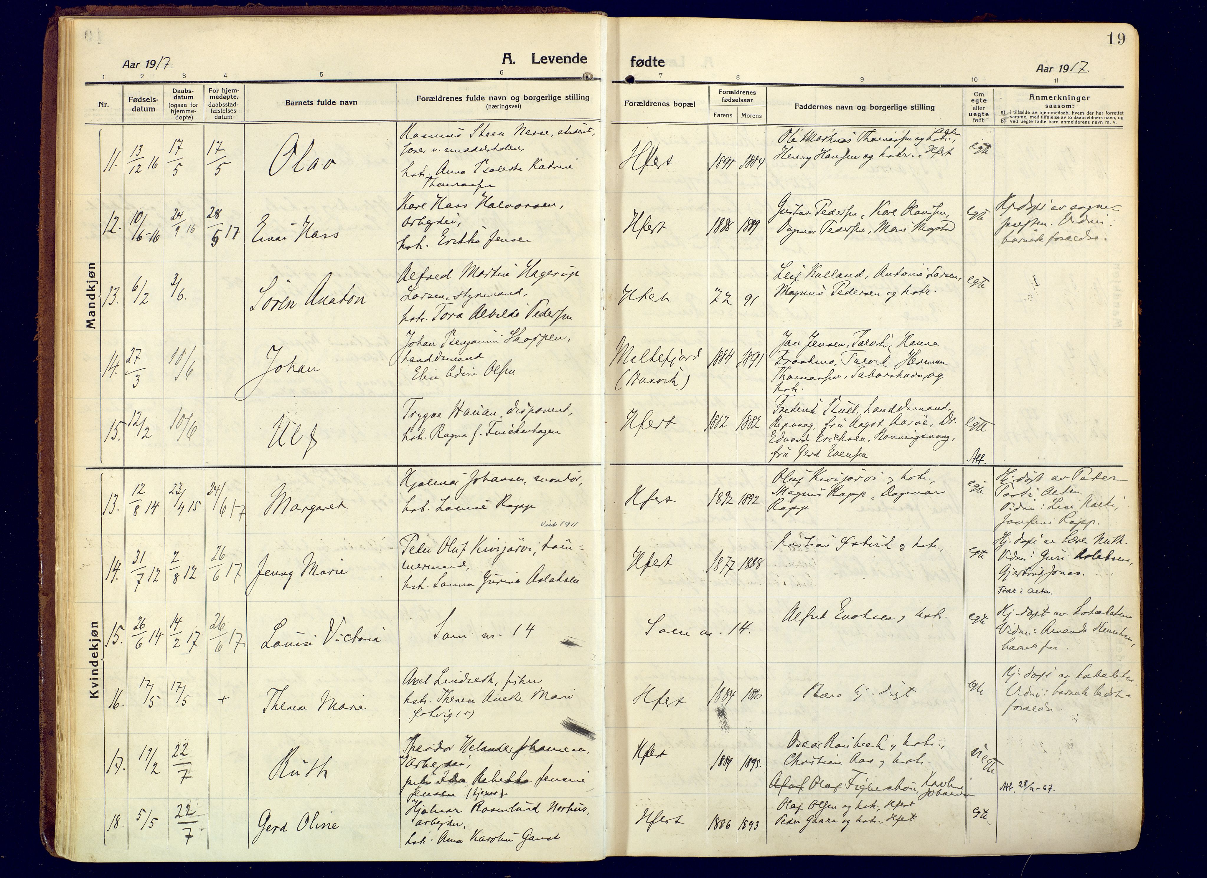 Hammerfest sokneprestkontor, AV/SATØ-S-1347/H/Ha/L0015.kirke: Parish register (official) no. 15, 1916-1923, p. 19