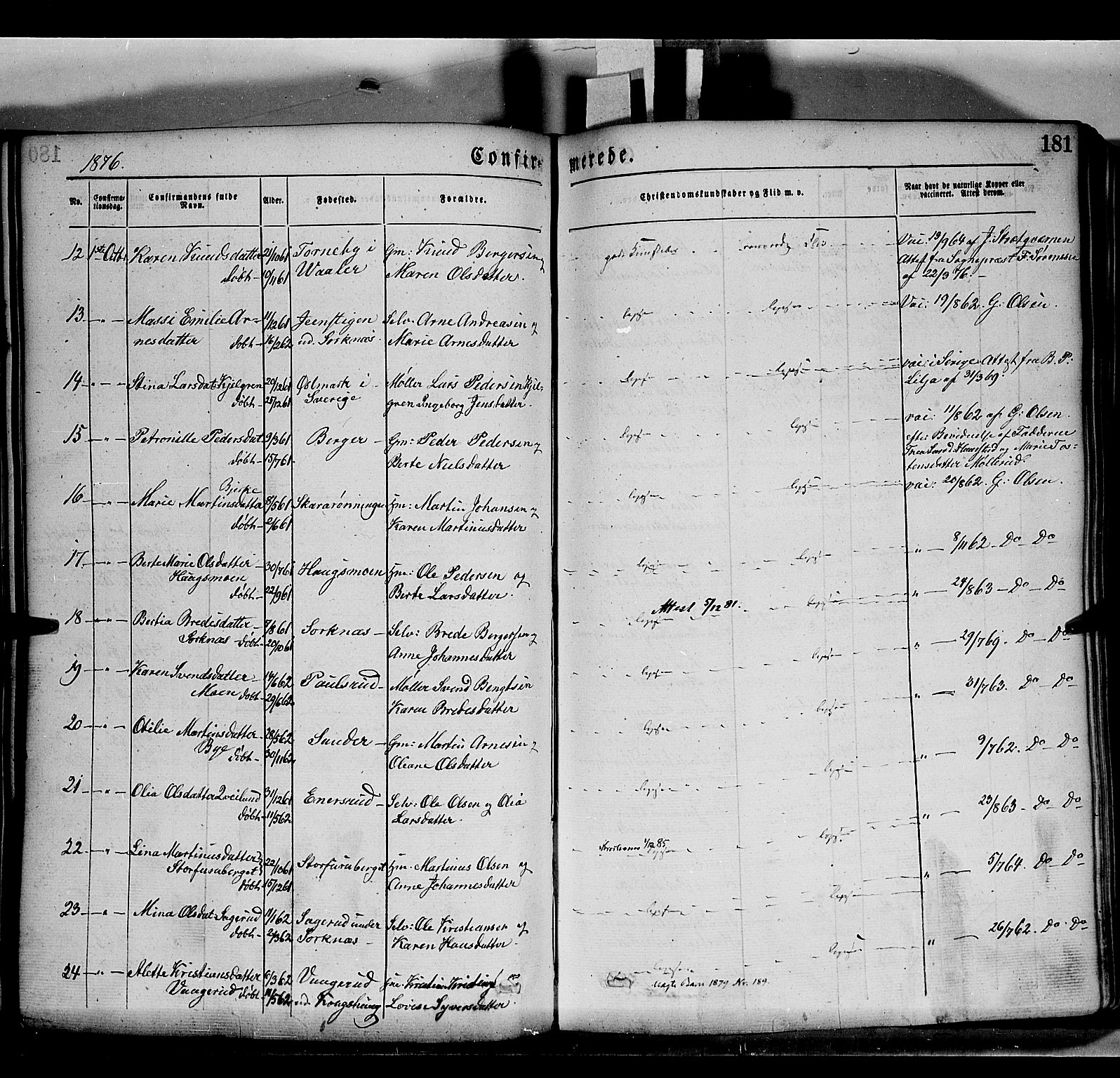 Grue prestekontor, AV/SAH-PREST-036/H/Ha/Haa/L0011: Parish register (official) no. 11, 1873-1880, p. 181