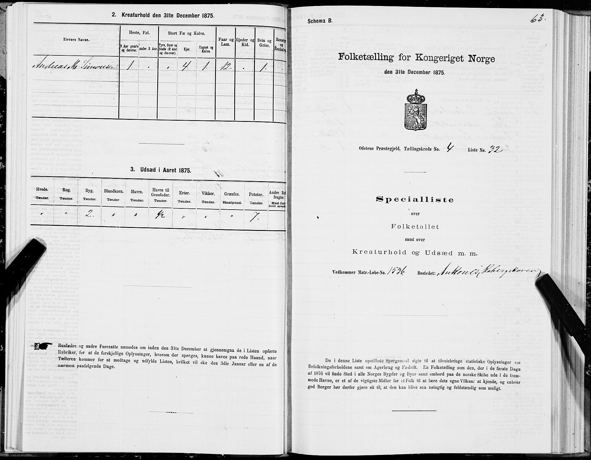 SAT, 1875 census for 1853P Ofoten, 1875, p. 3063