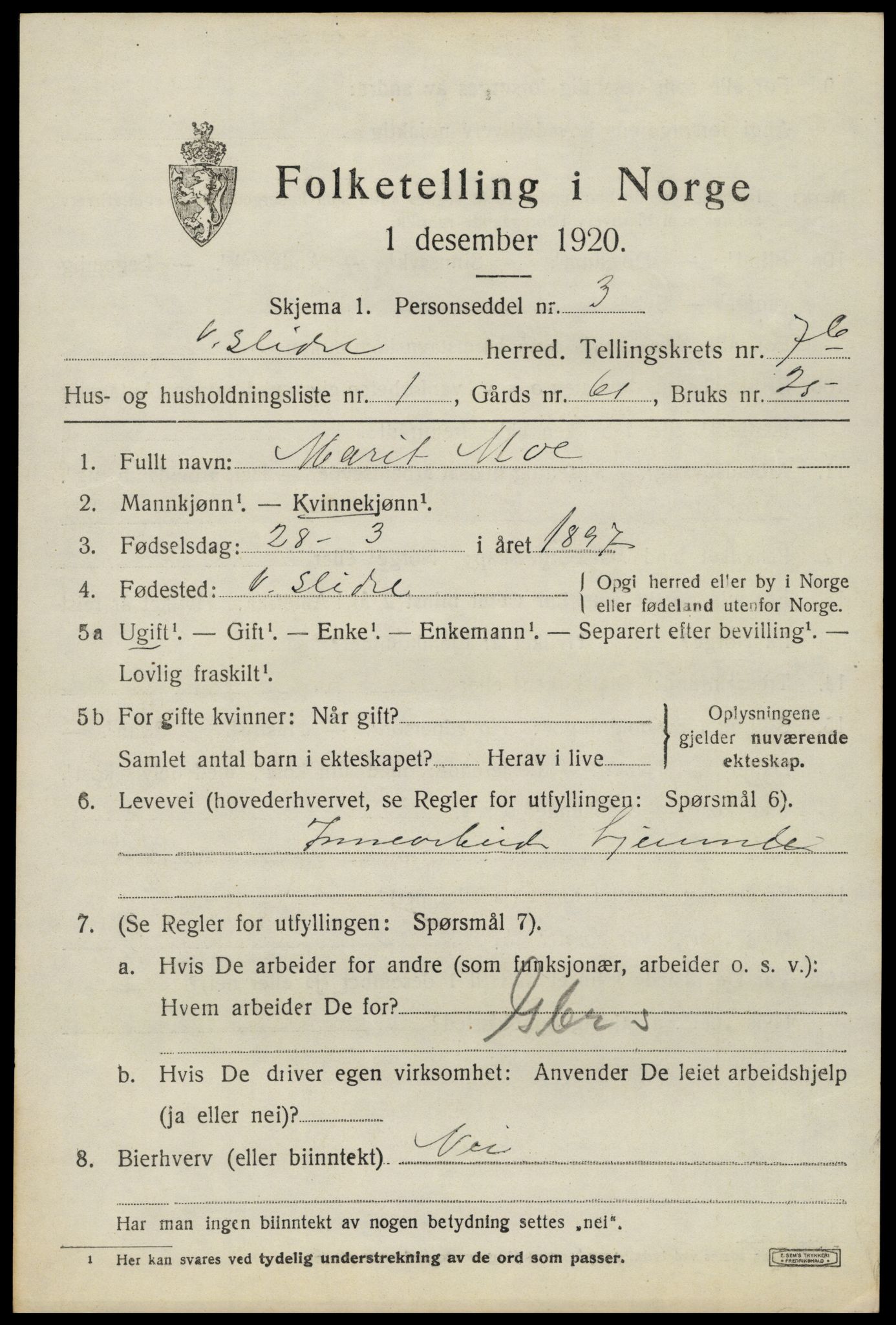 SAH, 1920 census for Vestre Slidre, 1920, p. 4038