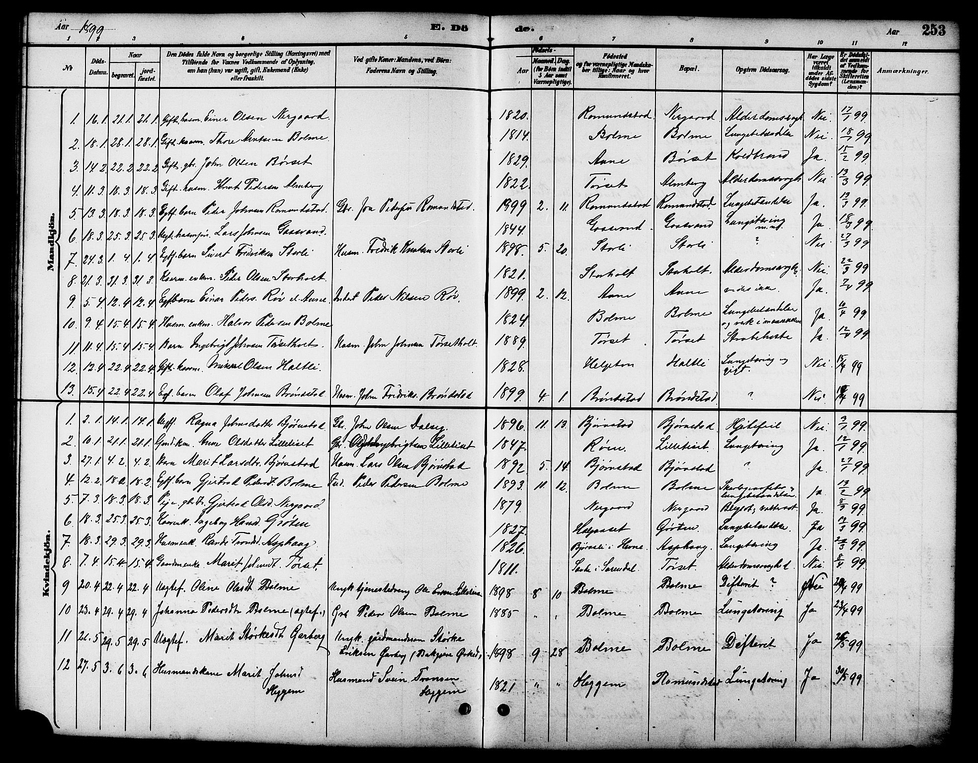 Ministerialprotokoller, klokkerbøker og fødselsregistre - Møre og Romsdal, AV/SAT-A-1454/598/L1078: Parish register (copy) no. 598C03, 1892-1909, p. 253