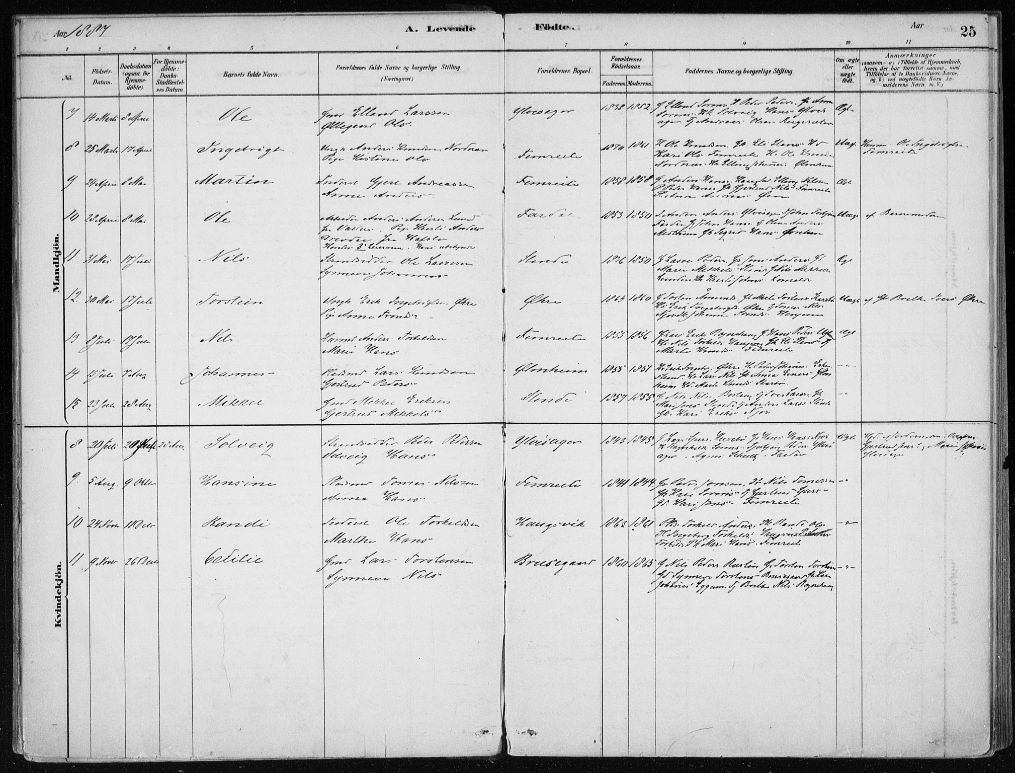 Sogndal sokneprestembete, AV/SAB-A-81301/H/Haa/Haac/L0001: Parish register (official) no. C 1, 1878-1907, p. 25