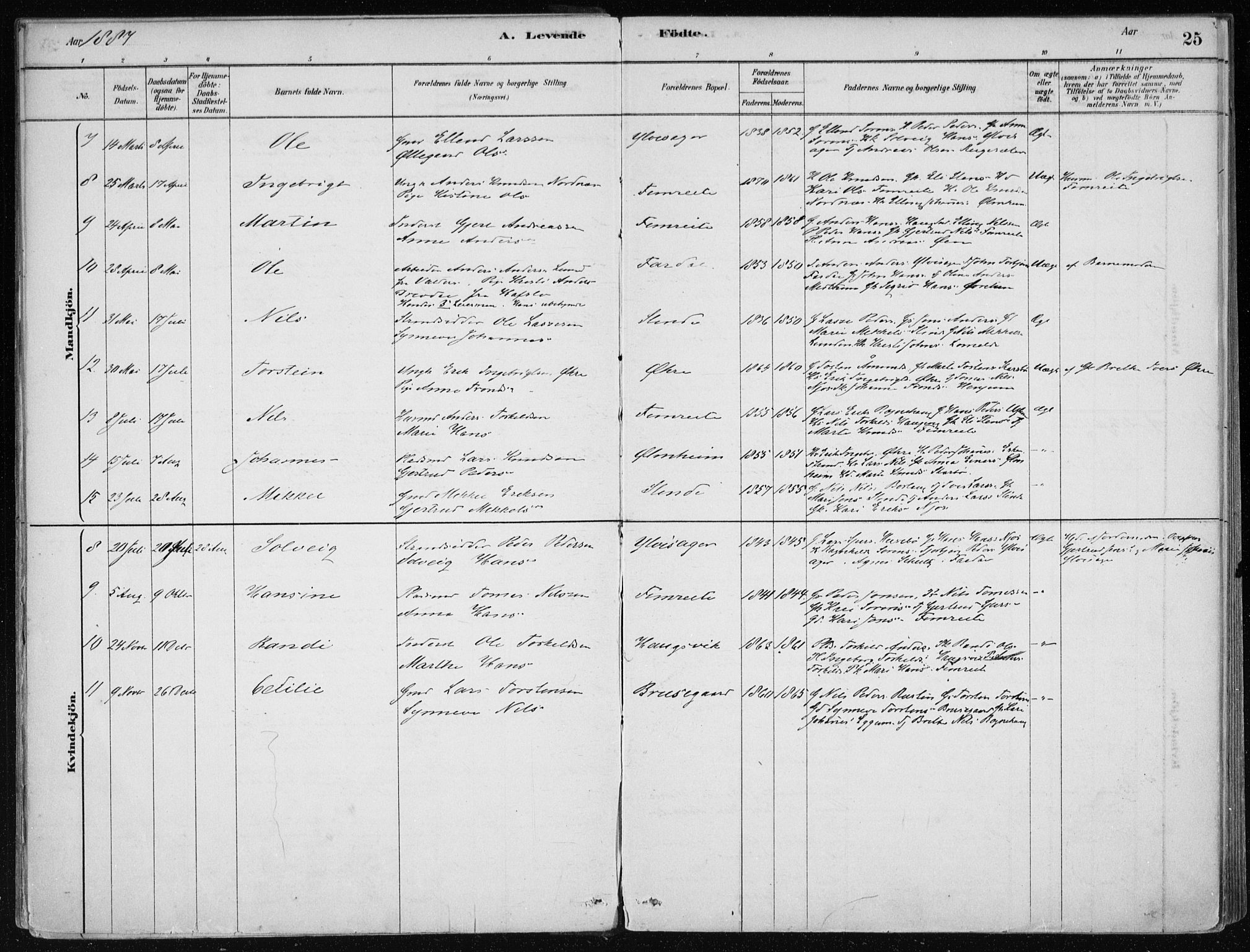 Sogndal sokneprestembete, AV/SAB-A-81301/H/Haa/Haac/L0001: Parish register (official) no. C 1, 1878-1907, p. 25