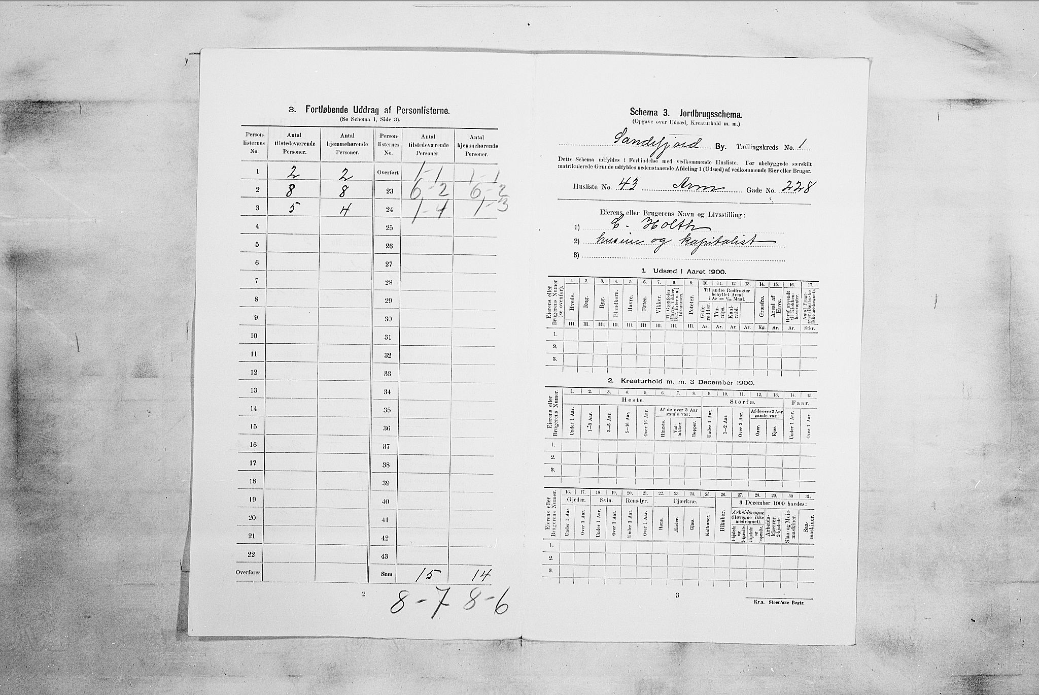 RA, 1900 census for Sandefjord, 1900, p. 335