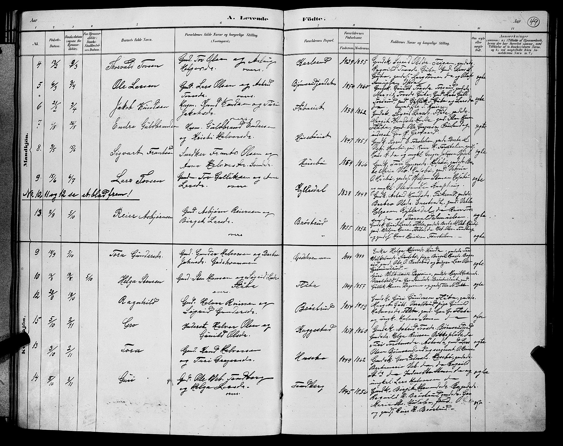 Nore kirkebøker, SAKO/A-238/G/Gb/L0002: Parish register (copy) no. II 2, 1878-1894, p. 49