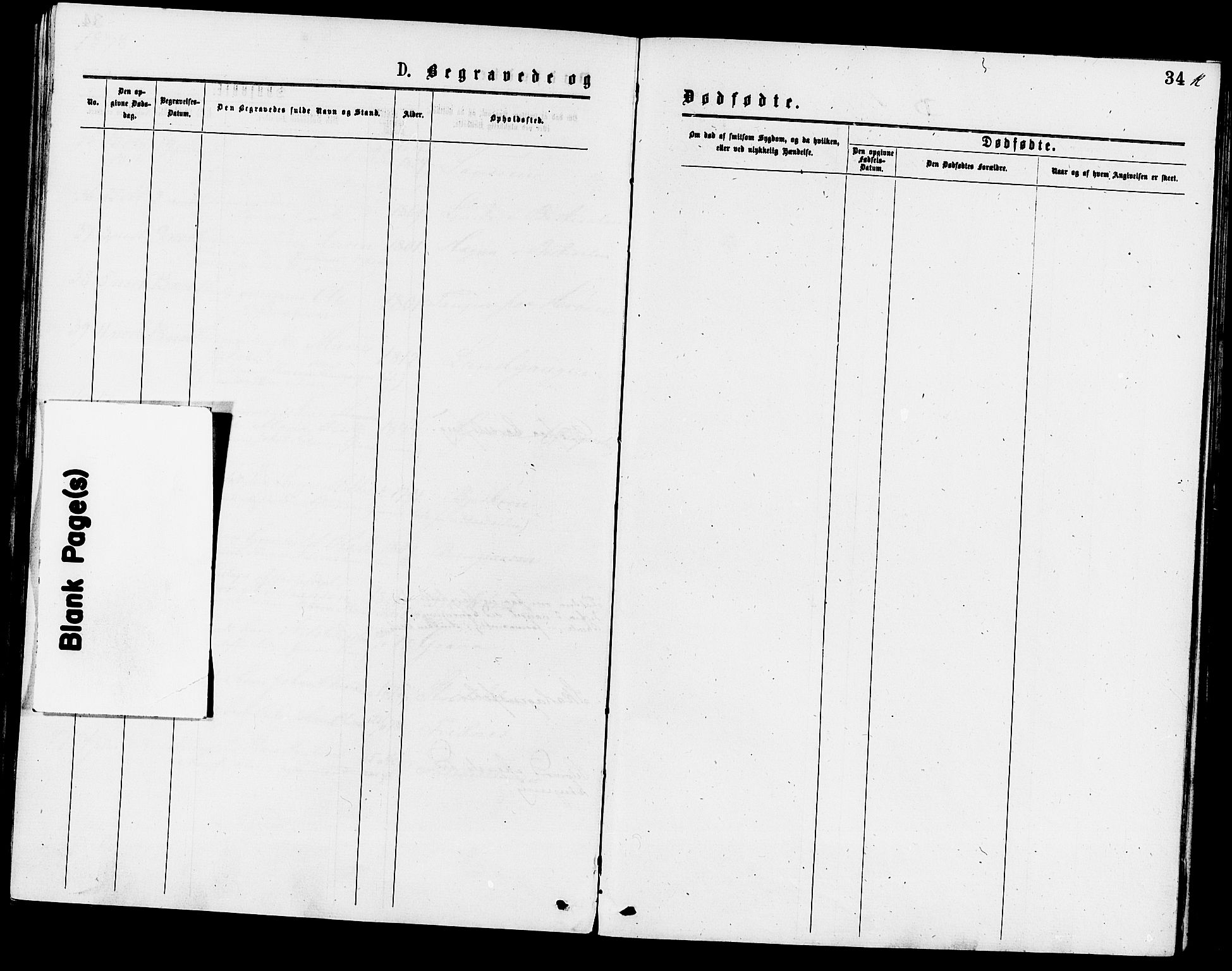 Eidanger kirkebøker, SAKO/A-261/F/Fa/L0011: Parish register (official) no. 11, 1875-1878, p. 34