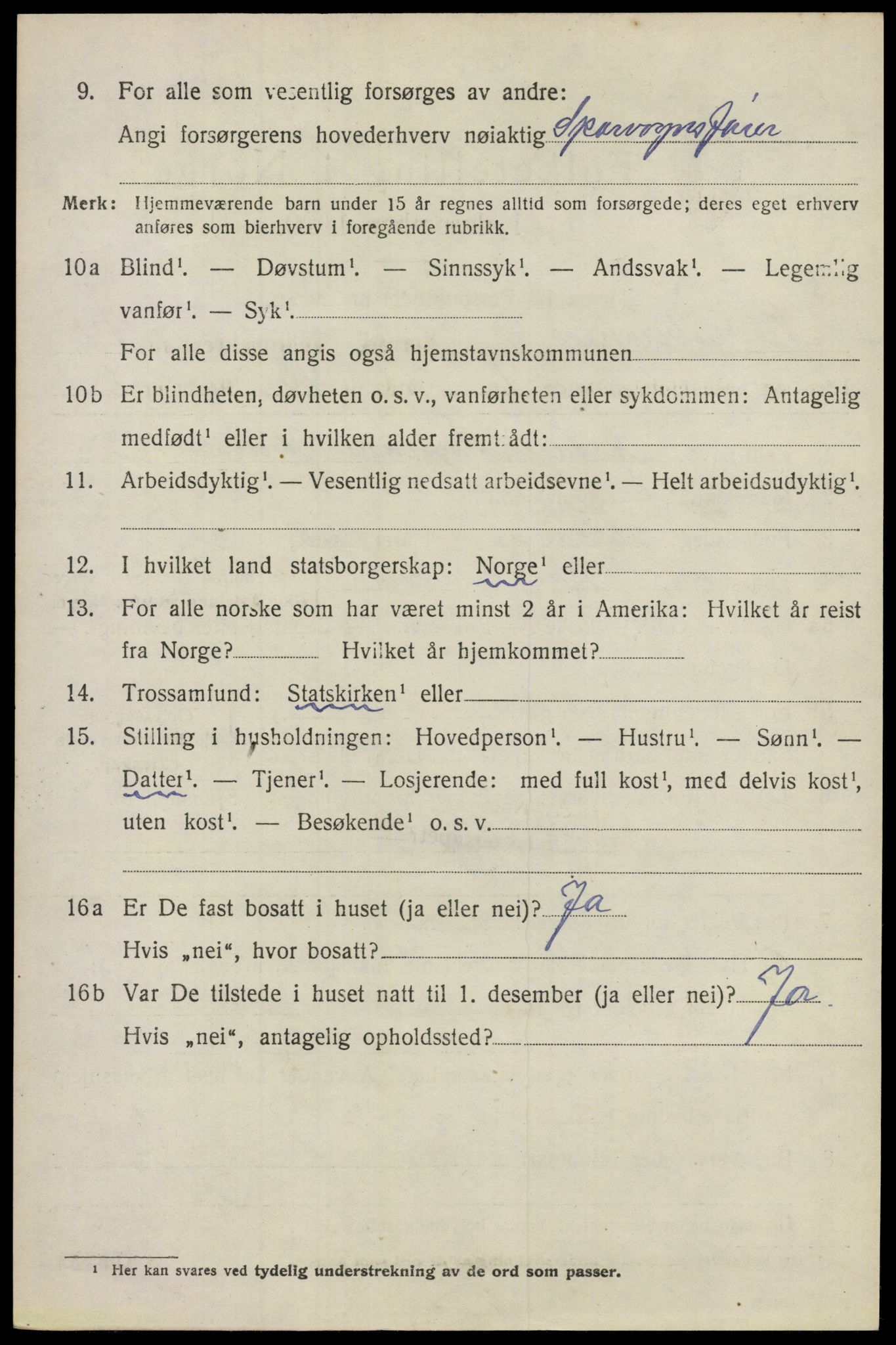 SAO, 1920 census for Nes, 1920, p. 13953