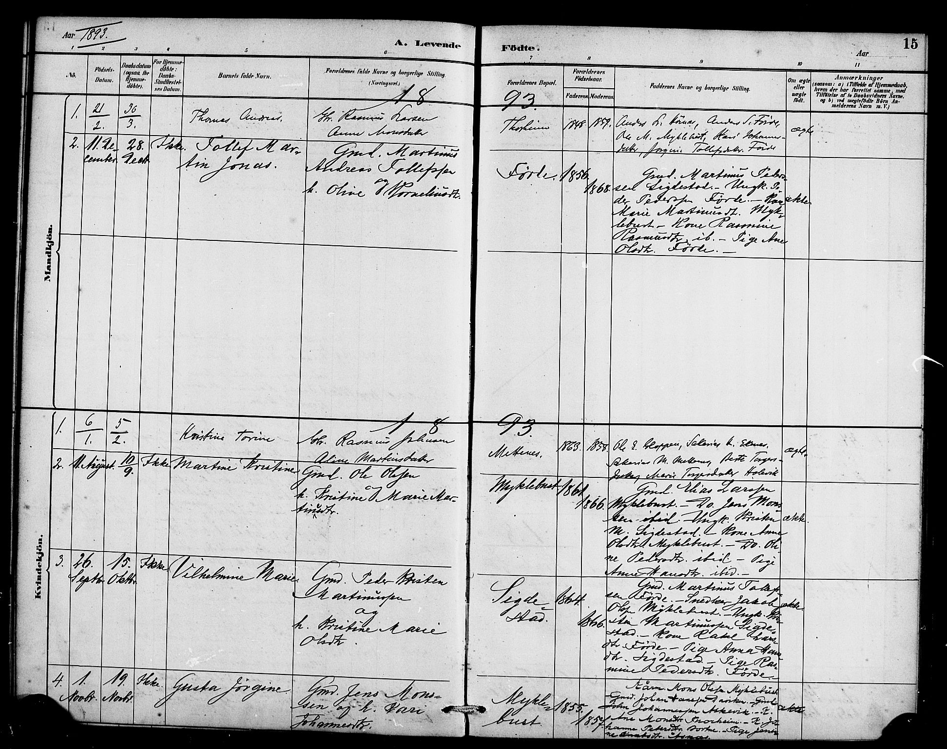 Davik sokneprestembete, SAB/A-79701/H/Haa/Haae/L0001: Parish register (official) no. E 1, 1882-1900, p. 15