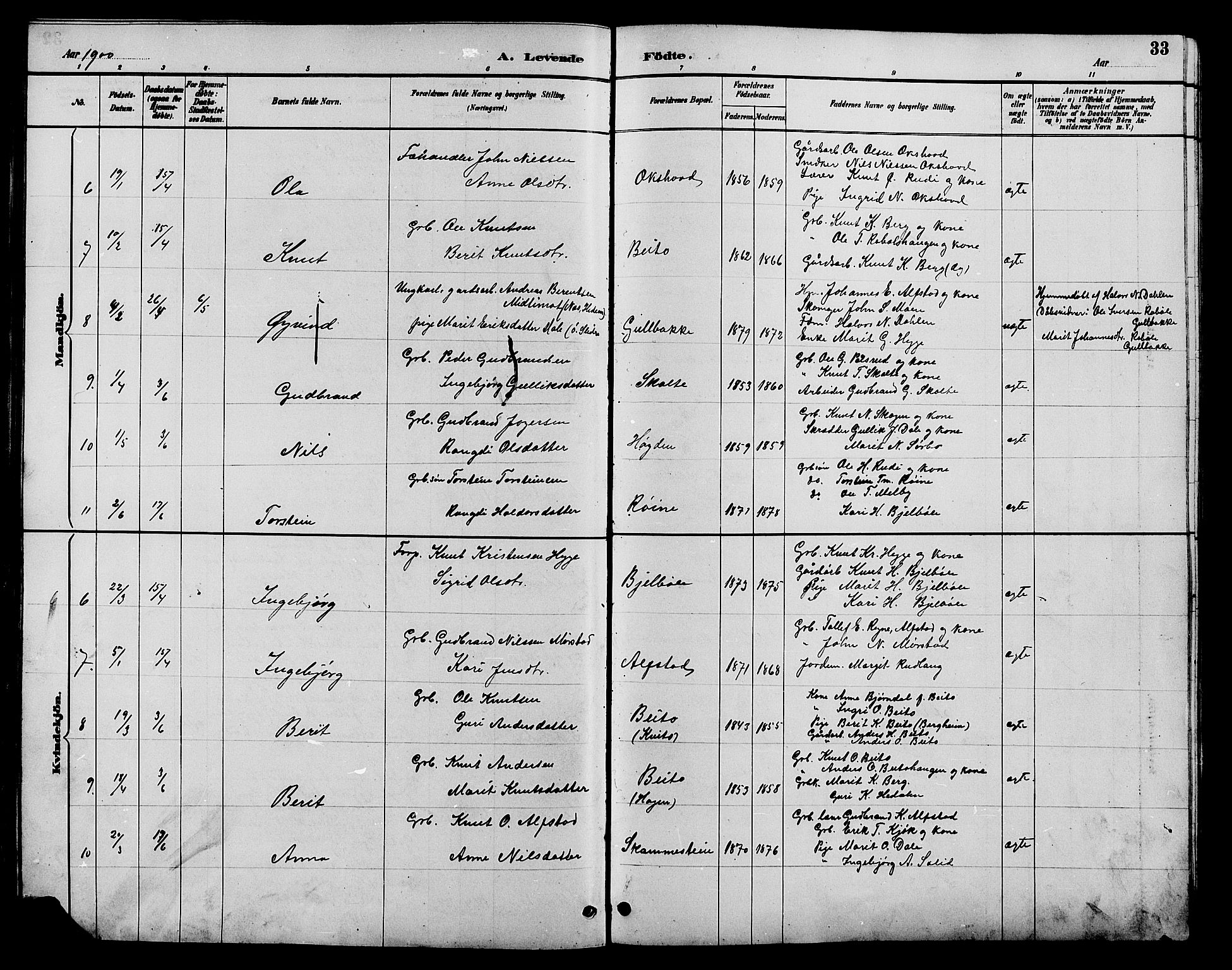 Øystre Slidre prestekontor, AV/SAH-PREST-138/H/Ha/Hab/L0004: Parish register (copy) no. 4, 1887-1907, p. 33