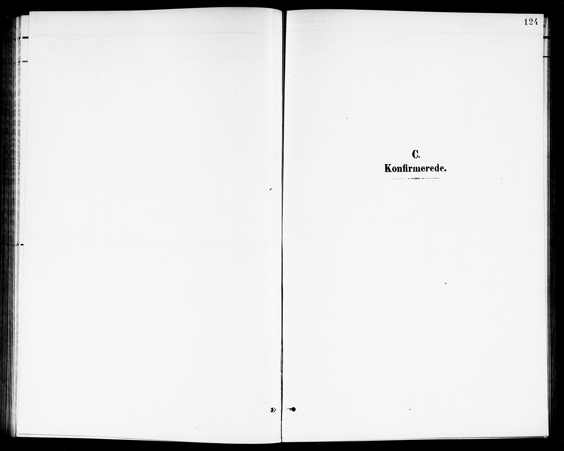 Høland prestekontor Kirkebøker, SAO/A-10346a/G/Ga/L0007: Parish register (copy) no. I 7, 1902-1914, p. 124