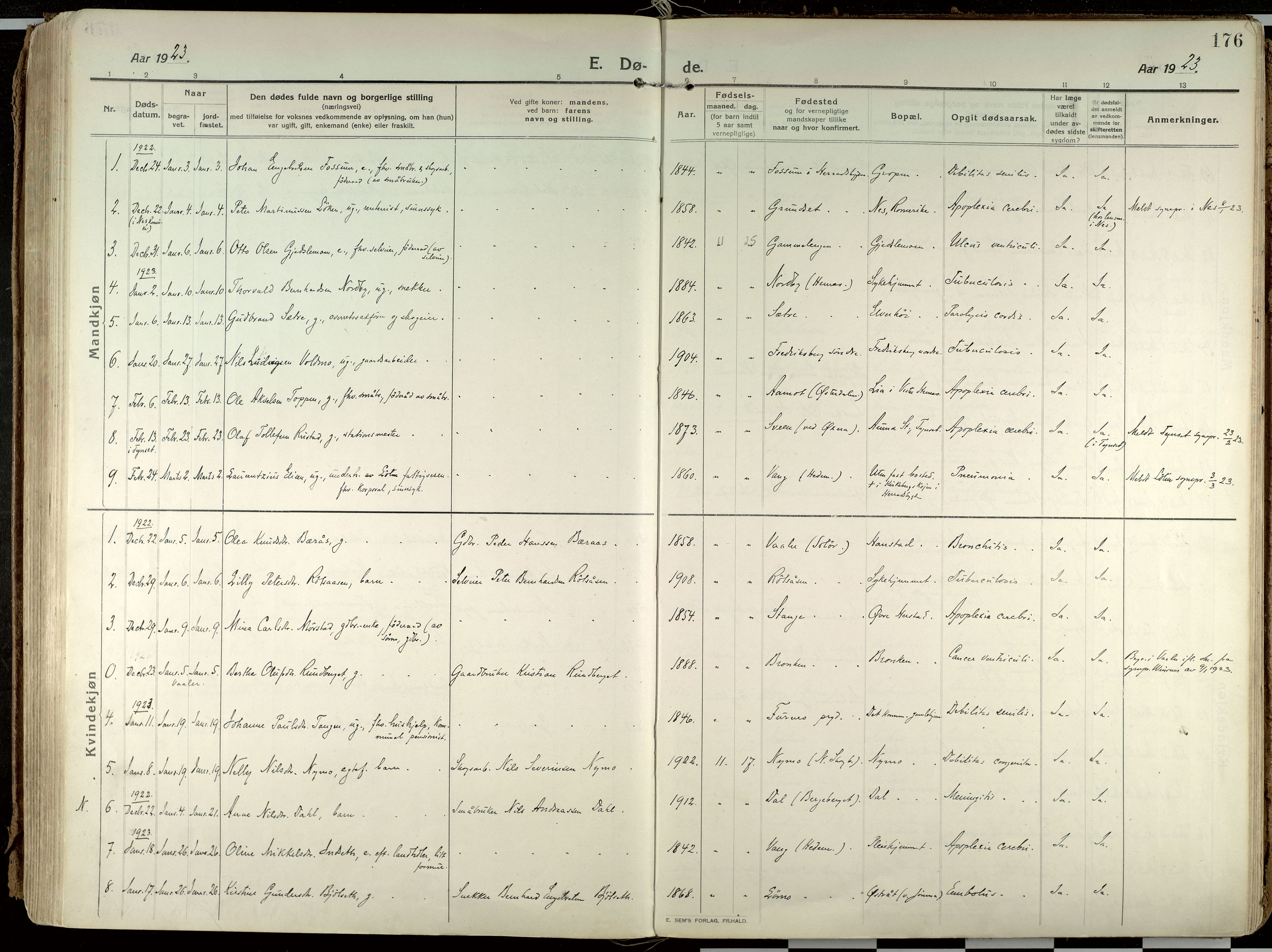 Elverum prestekontor, AV/SAH-PREST-044/H/Ha/Haa/L0021: Parish register (official) no. 21, 1913-1928, p. 176