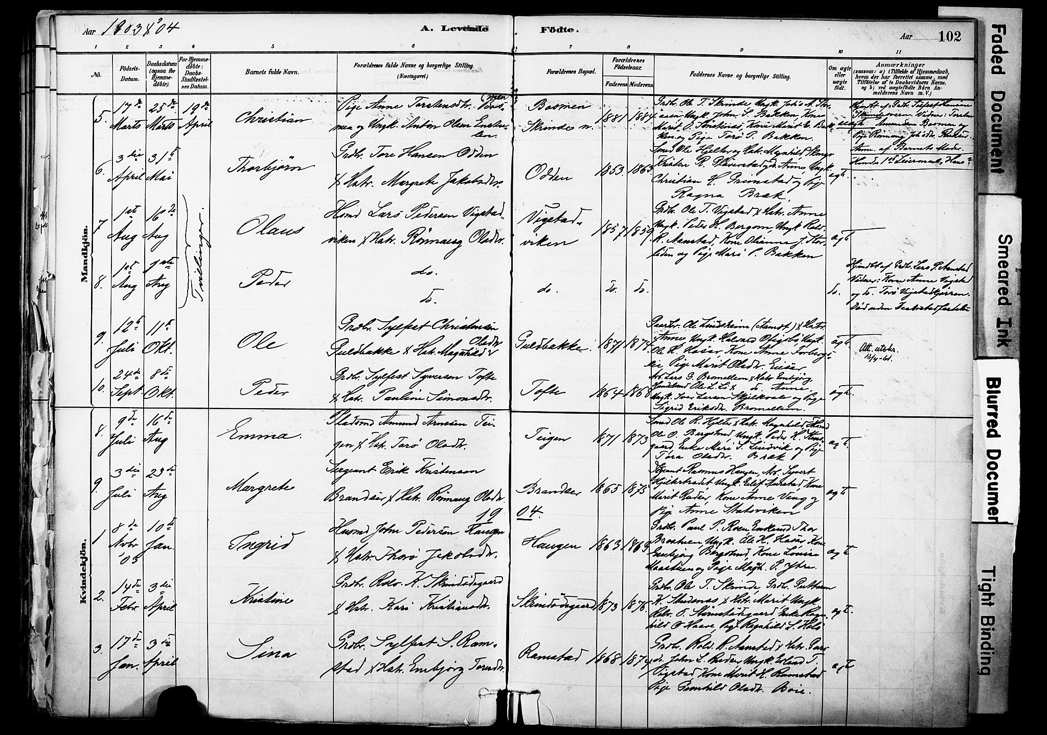 Skjåk prestekontor, SAH/PREST-072/H/Ha/Haa/L0003: Parish register (official) no. 3, 1880-1907, p. 102