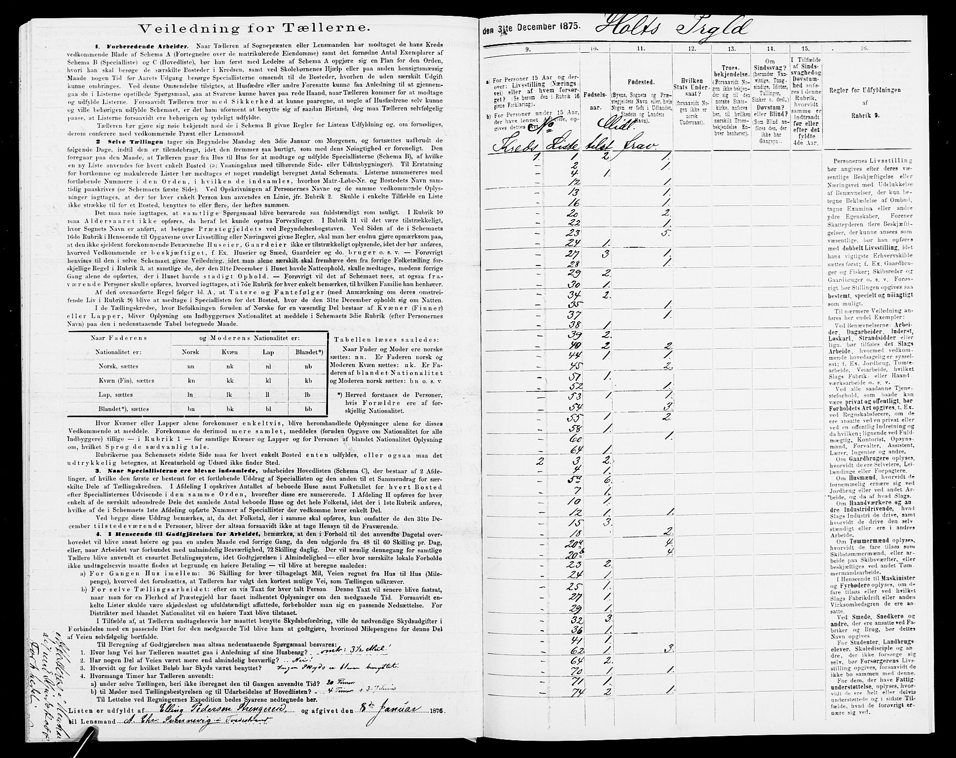 SAK, 1875 census for 0914L Holt/Holt, 1875, p. 41