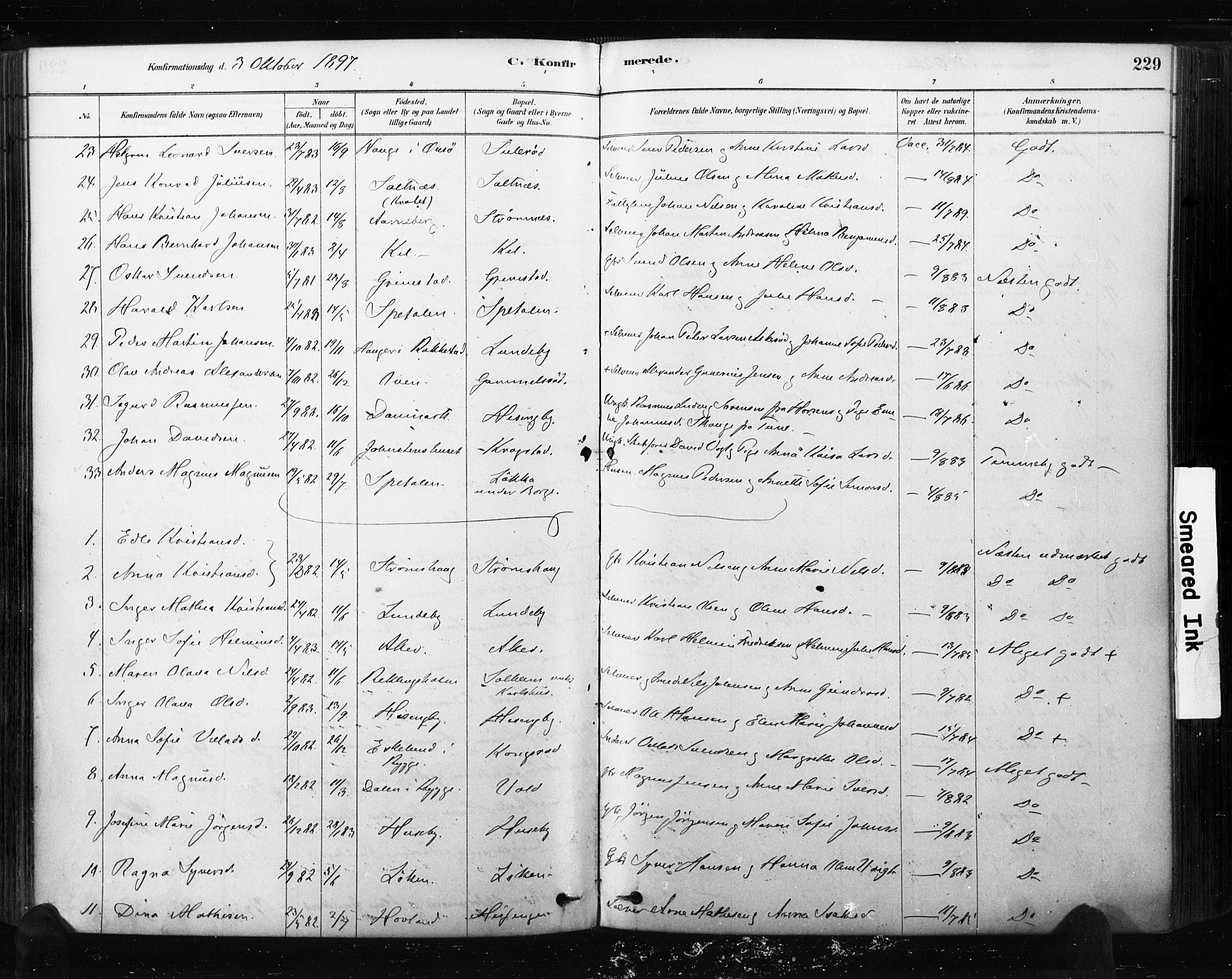 Råde prestekontor kirkebøker, AV/SAO-A-2009/F/Fa/L0007: Parish register (official) no. 7, 1878-1902, p. 229