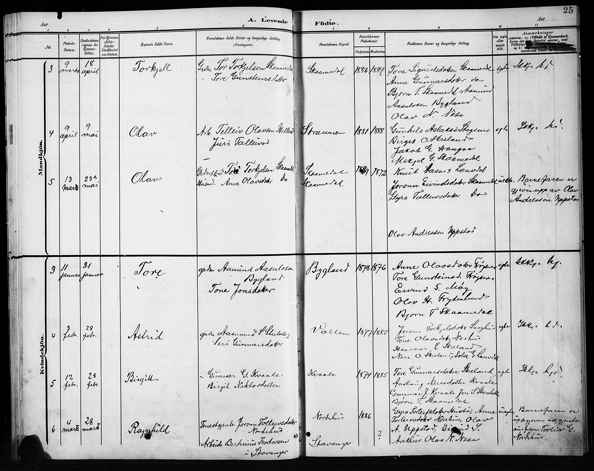 Bygland sokneprestkontor, SAK/1111-0006/F/Fb/Fbb/L0004: Parish register (copy) no. B 4, 1902-1920, p. 25