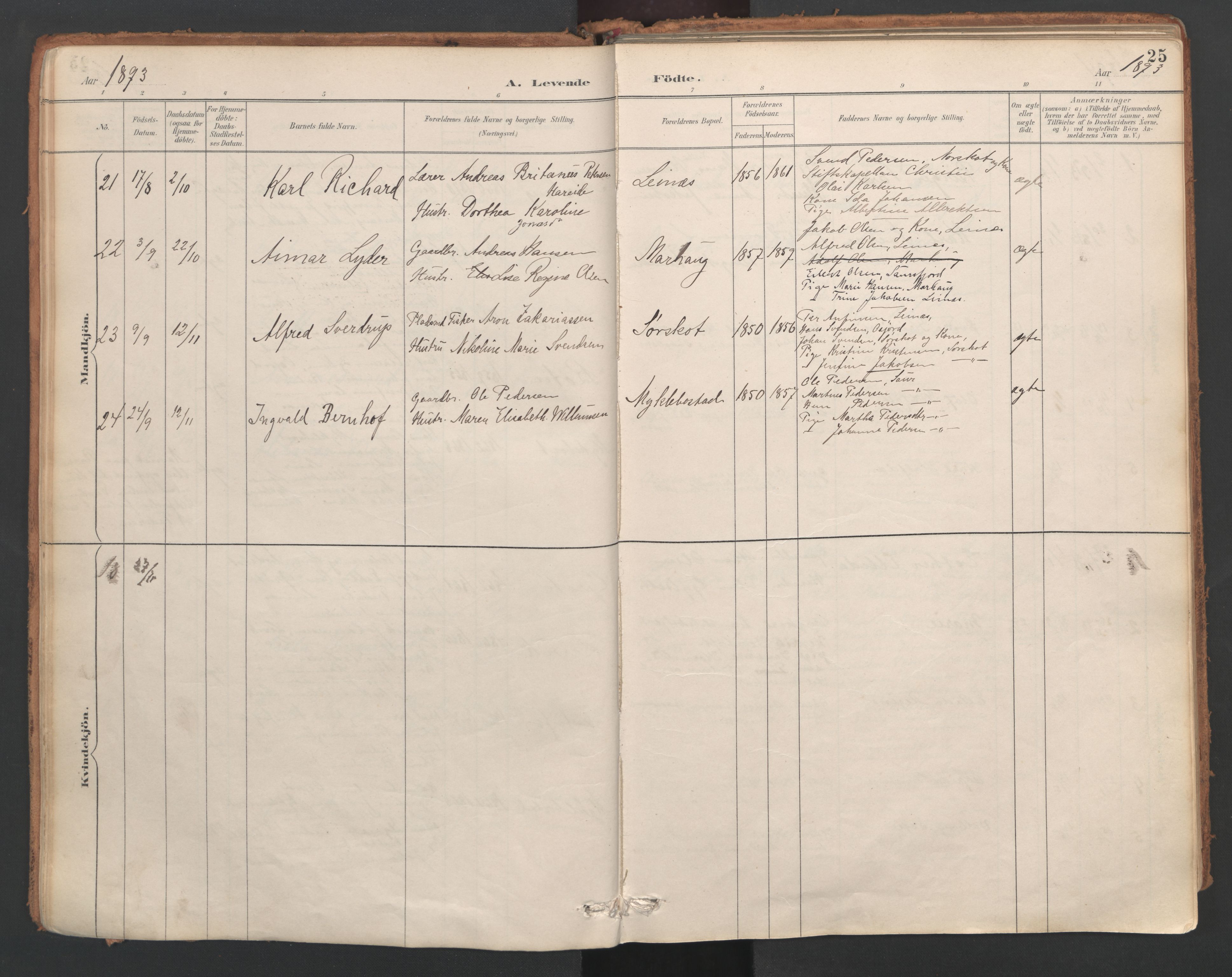 Ministerialprotokoller, klokkerbøker og fødselsregistre - Nordland, AV/SAT-A-1459/857/L0822: Parish register (official) no. 857A02, 1890-1917, p. 25