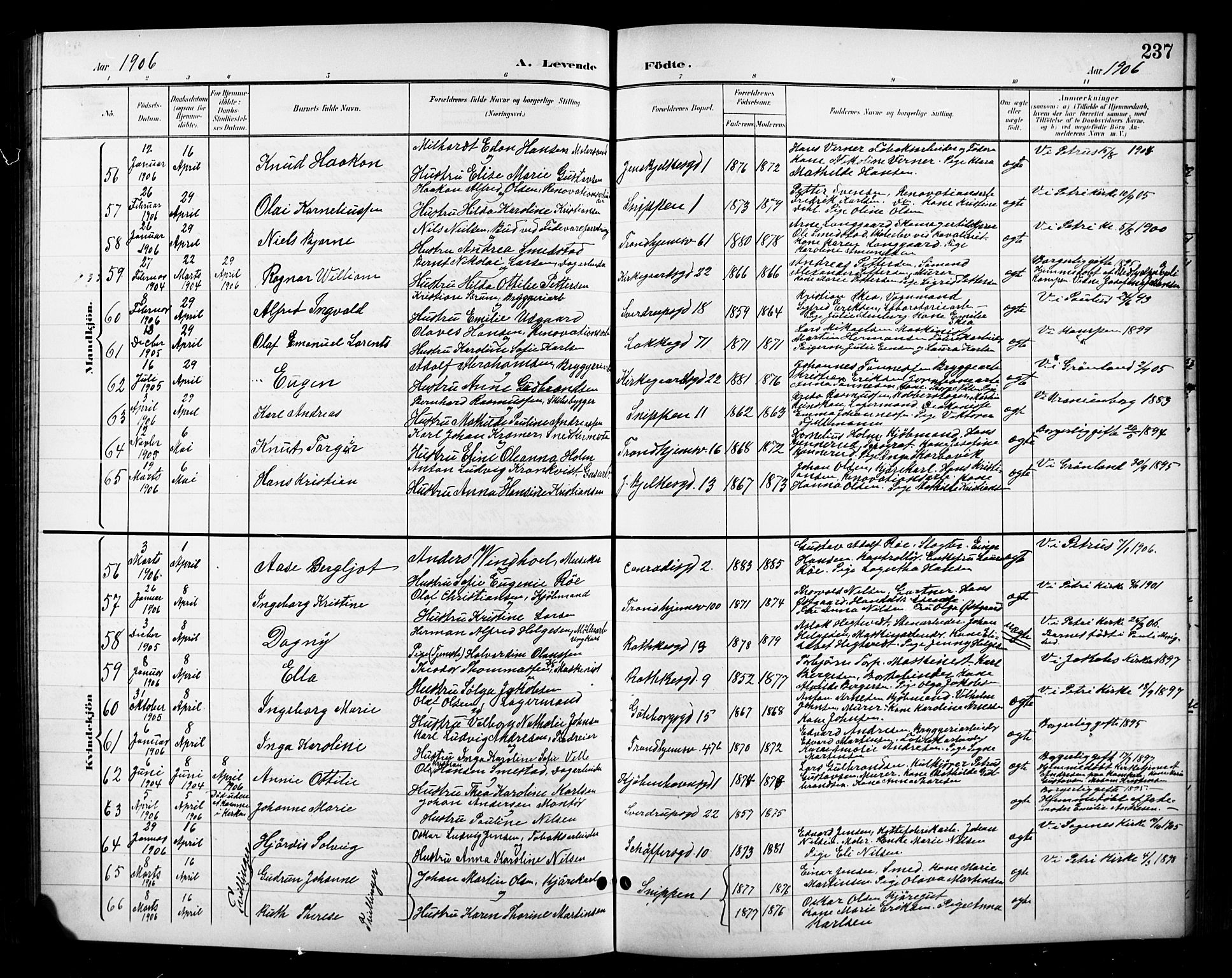 Petrus prestekontor Kirkebøker, AV/SAO-A-10872/G/Ga/L0003: Parish register (copy) no. 3, 1899-1913, p. 237