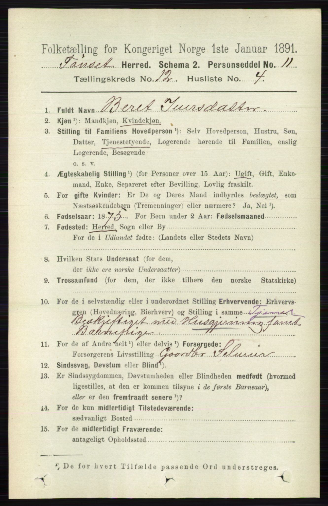 RA, 1891 census for 0437 Tynset, 1891, p. 3225