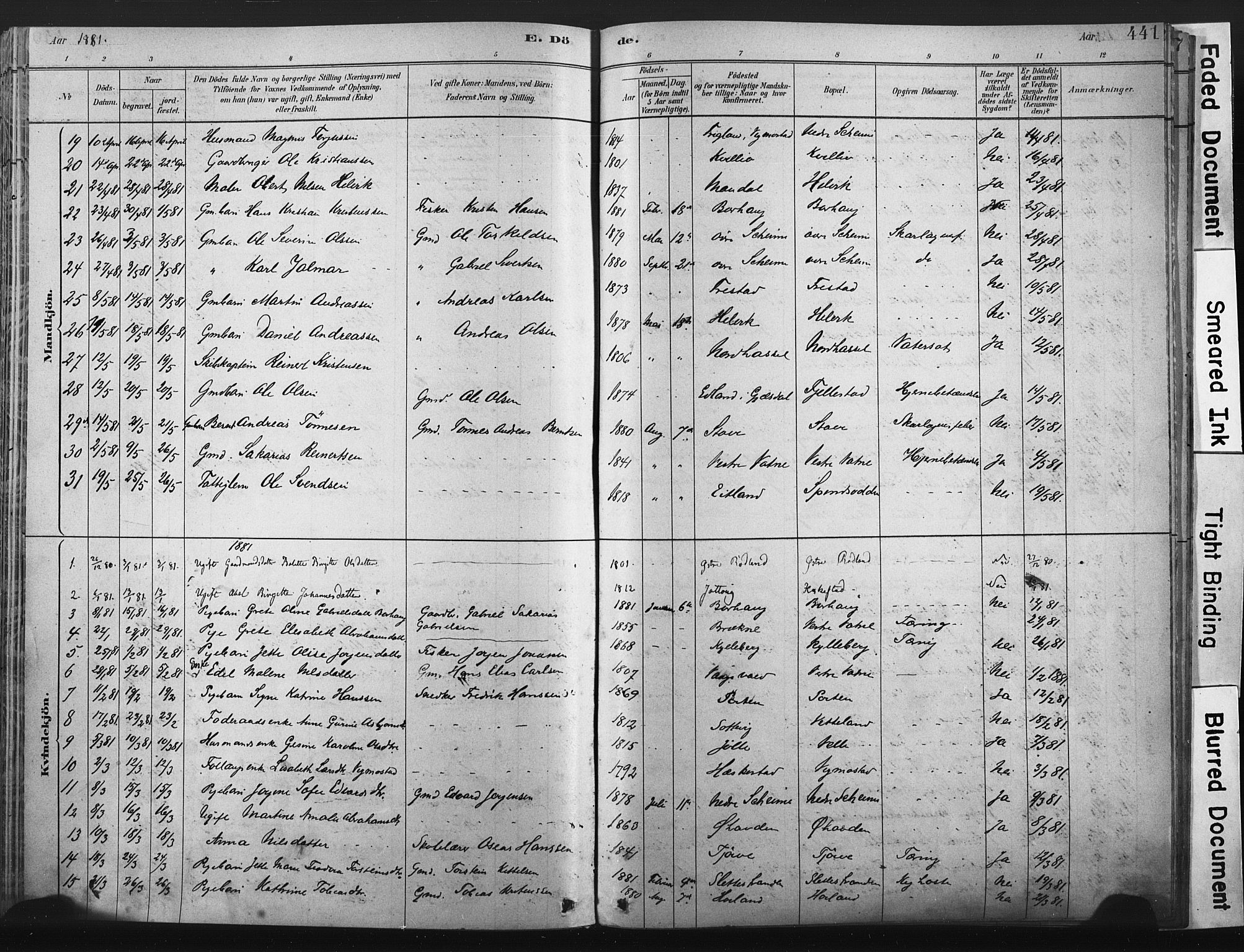 Lista sokneprestkontor, AV/SAK-1111-0027/F/Fa/L0012: Parish register (official) no. A 12, 1879-1903, p. 441