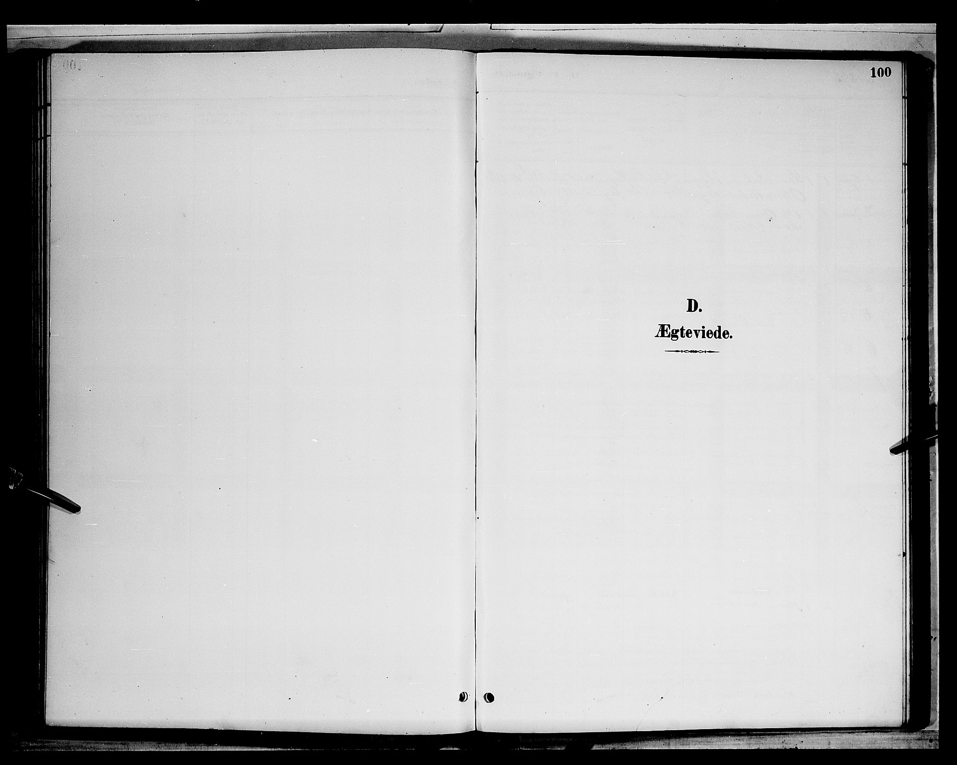 Grue prestekontor, AV/SAH-PREST-036/H/Ha/Hab/L0003: Parish register (copy) no. 3, 1895-1899, p. 100