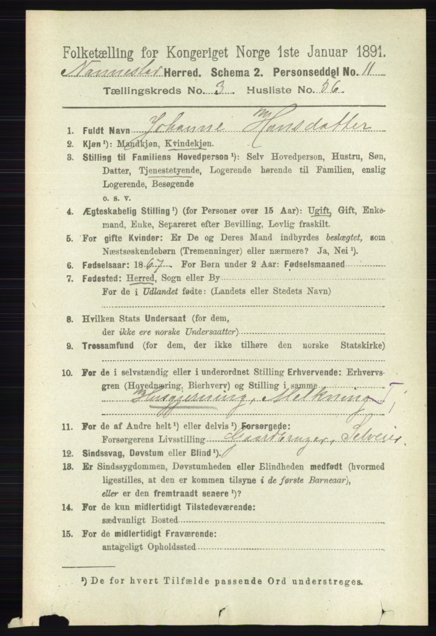 RA, 1891 census for 0238 Nannestad, 1891, p. 1802
