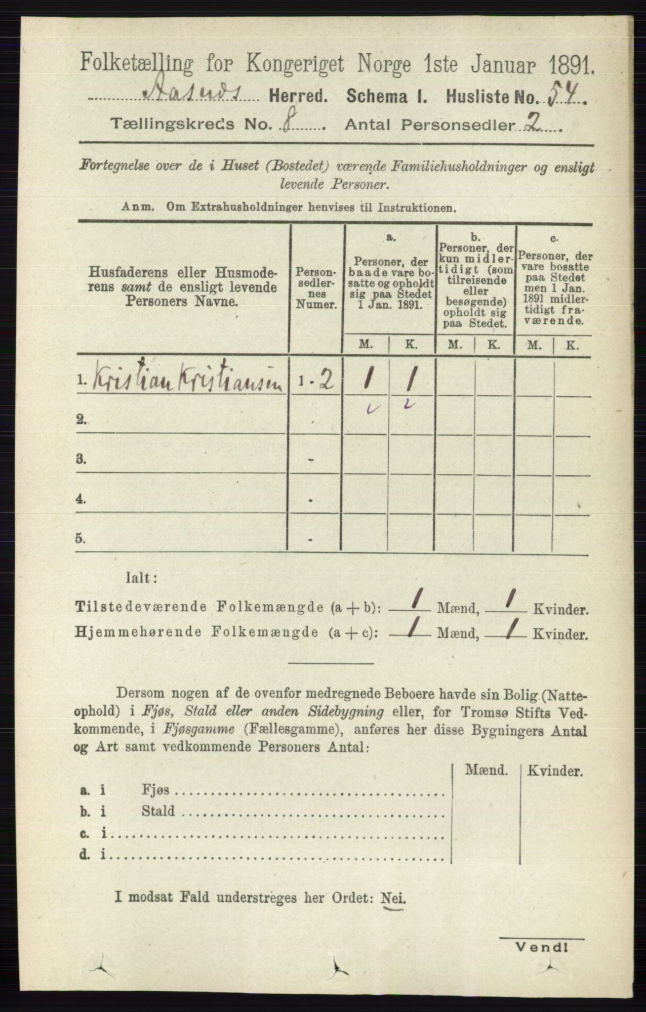 RA, 1891 census for 0425 Åsnes, 1891, p. 4175