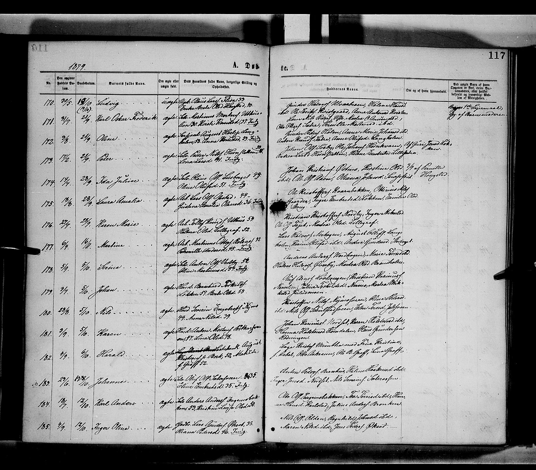 Elverum prestekontor, AV/SAH-PREST-044/H/Ha/Haa/L0011: Parish register (official) no. 11, 1869-1879, p. 117