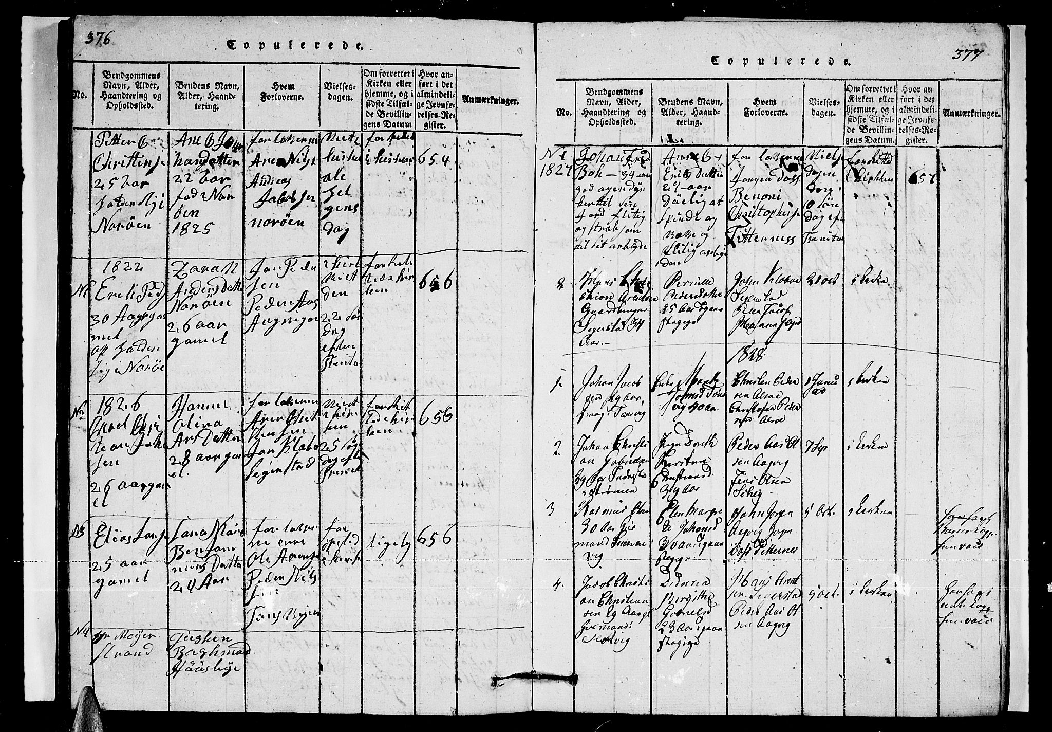 Ministerialprotokoller, klokkerbøker og fødselsregistre - Nordland, AV/SAT-A-1459/835/L0529: Parish register (copy) no. 835C01, 1820-1828, p. 376-377