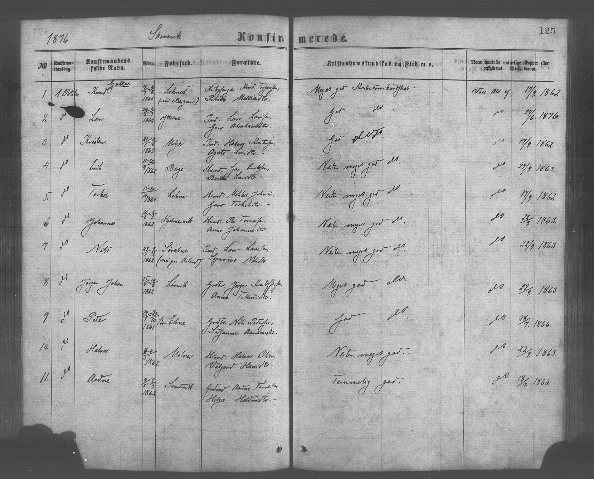 Skånevik sokneprestembete, AV/SAB-A-77801/H/Haa: Parish register (official) no. A 6, 1869-1878, p. 125