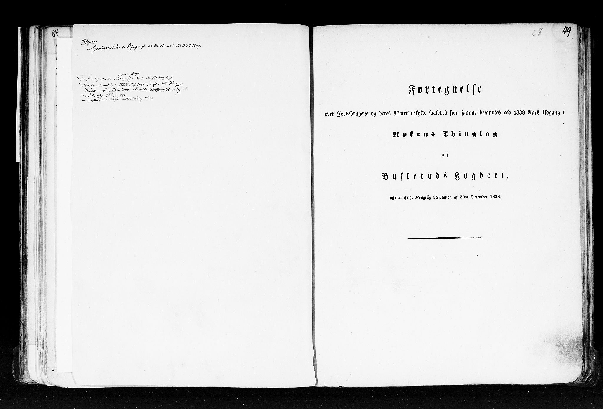 Rygh, AV/RA-PA-0034/F/Fb/L0005: Matrikkelen for 1838 - Buskerud amt (Buskerud fylke), 1838, p. 49a