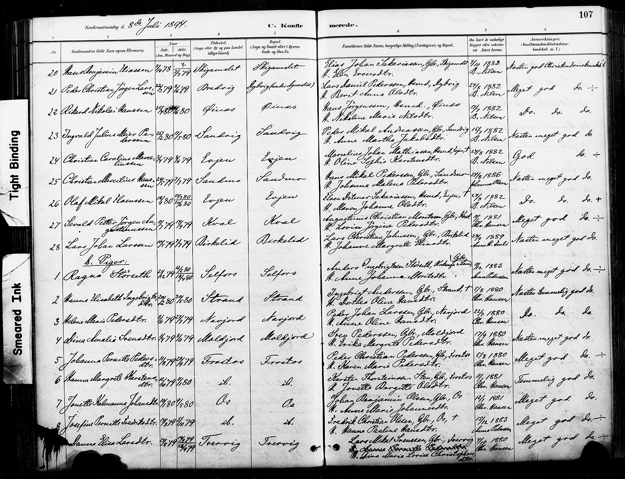 Ministerialprotokoller, klokkerbøker og fødselsregistre - Nordland, AV/SAT-A-1459/846/L0646: Parish register (official) no. 846A04, 1887-1901, p. 107