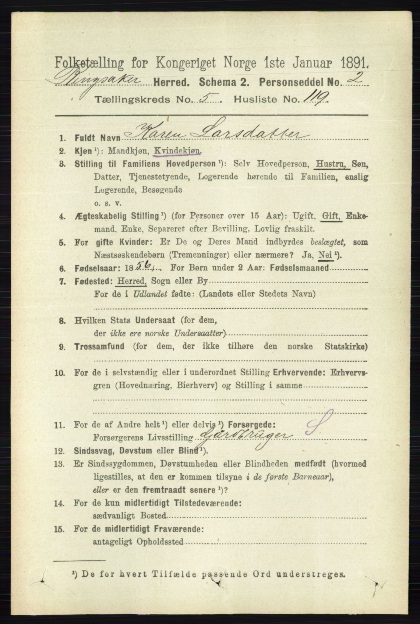 RA, 1891 census for 0412 Ringsaker, 1891, p. 3071