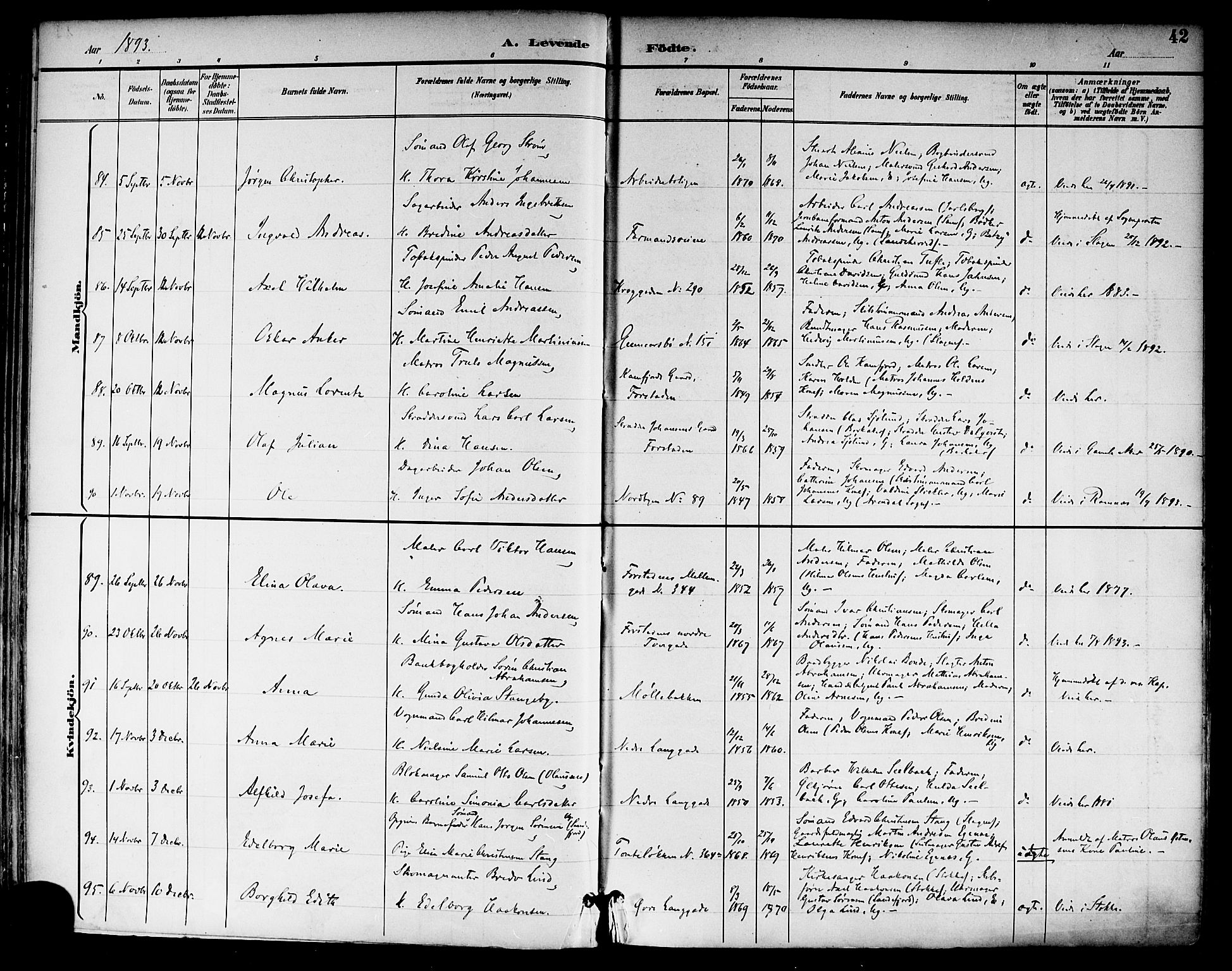 Tønsberg kirkebøker, SAKO/A-330/F/Fa/L0012: Parish register (official) no. I 12, 1891-1899, p. 42
